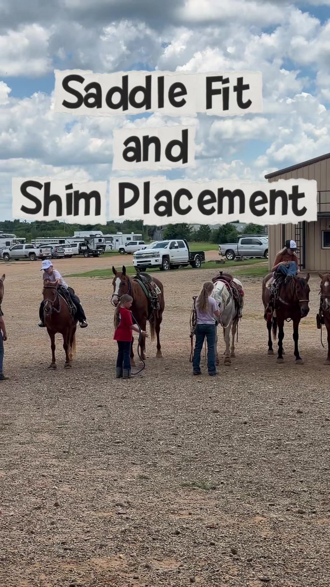 @5 Star Equine