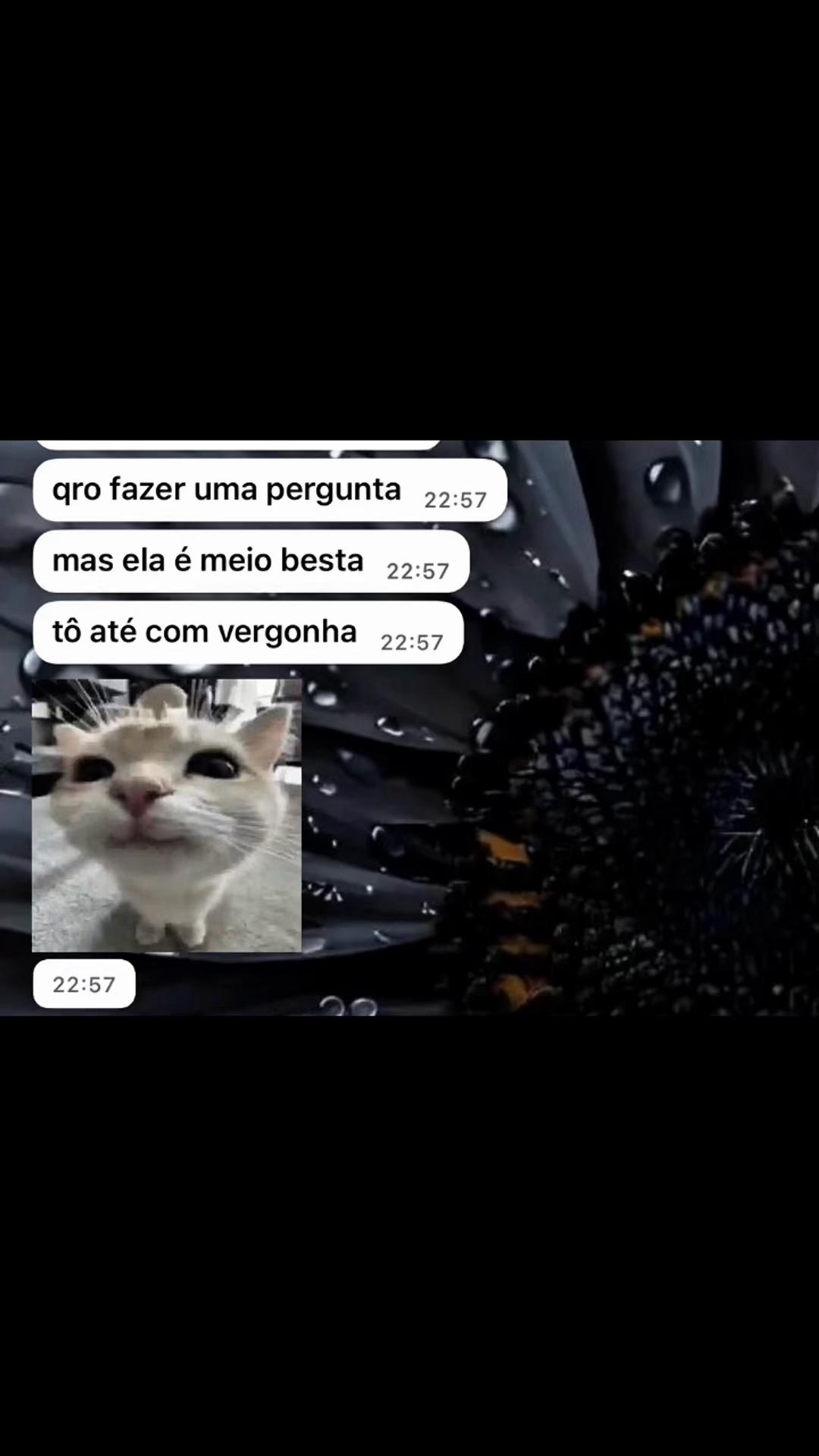 @Mix Viral | Gabi Birk
