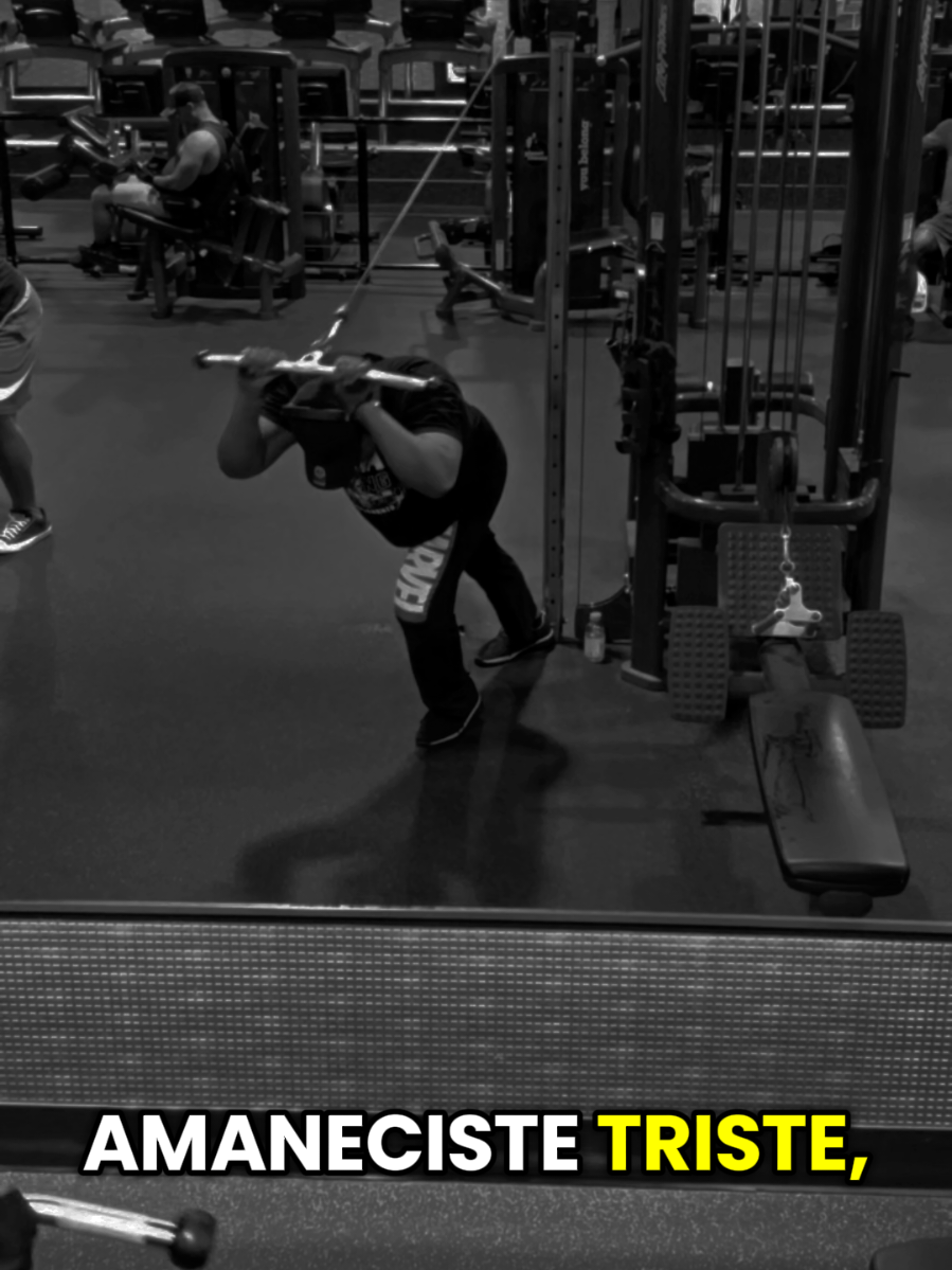 @Jose.surielholguin