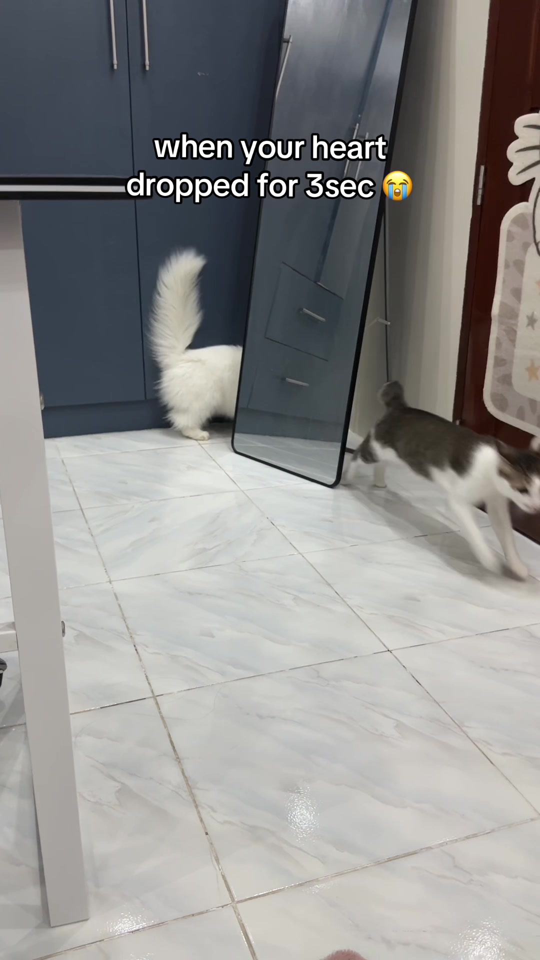 @Chloe & Casper 🐾