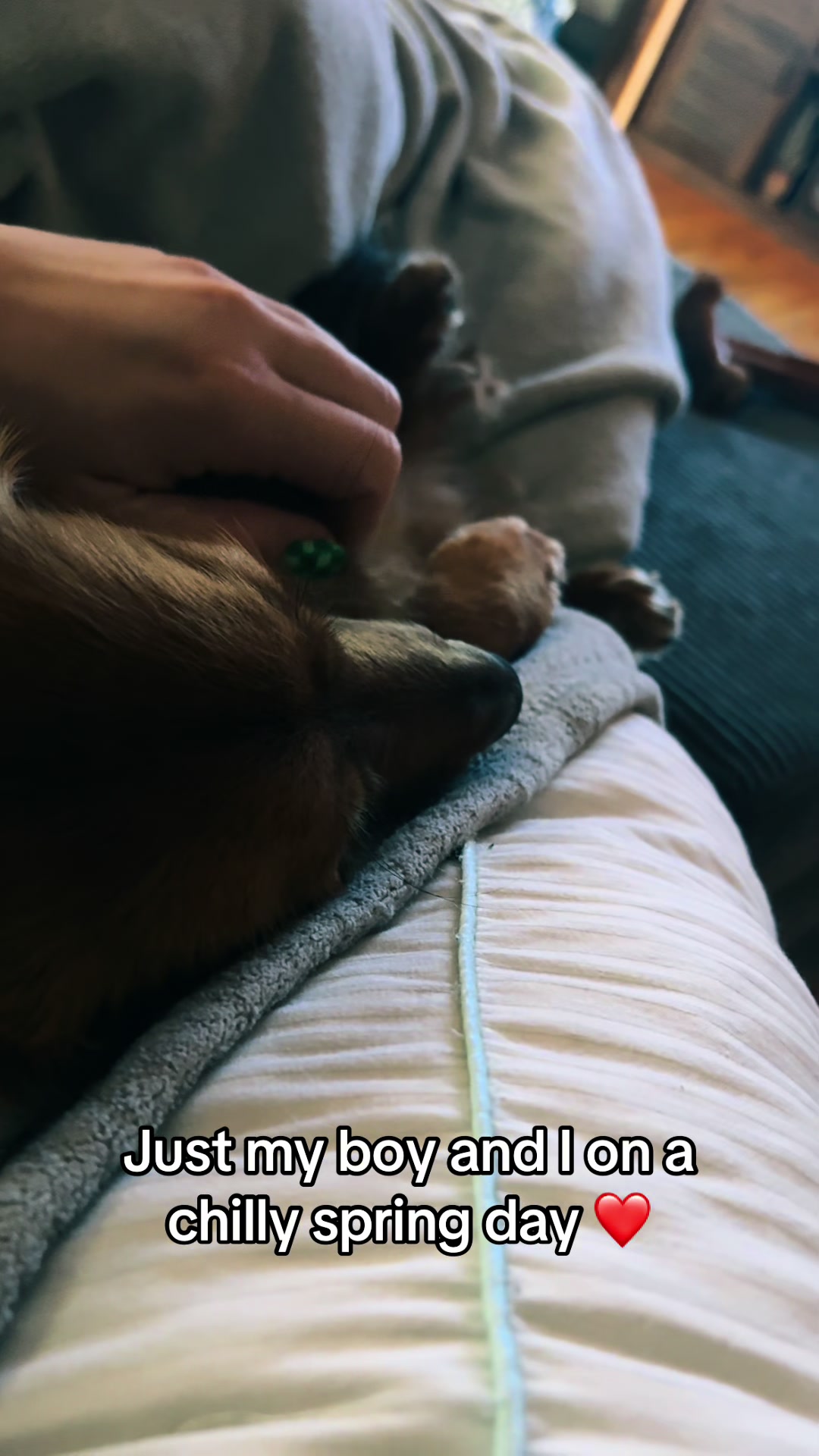 @remi.the.mini.ween