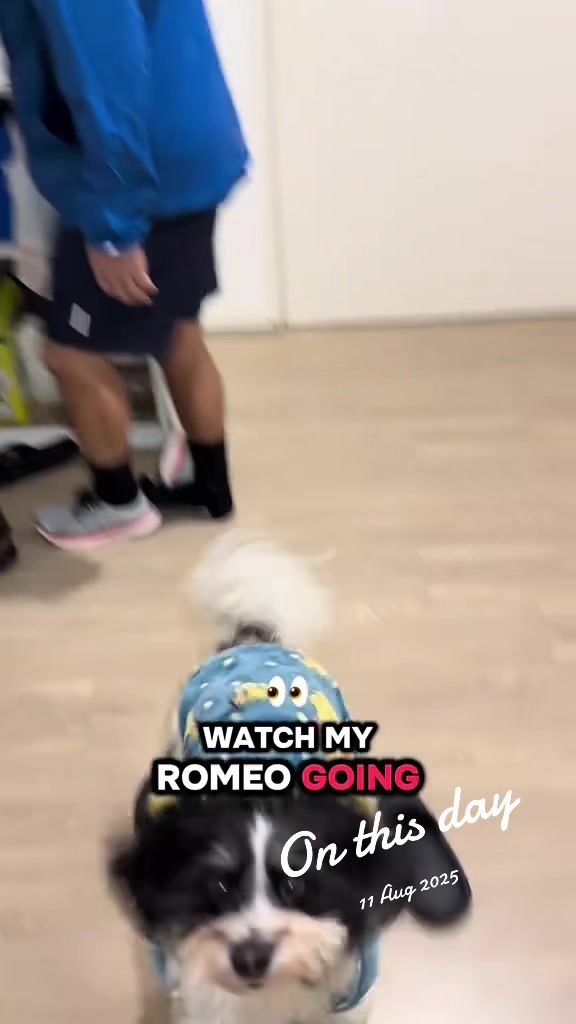 @Zo N Romeo