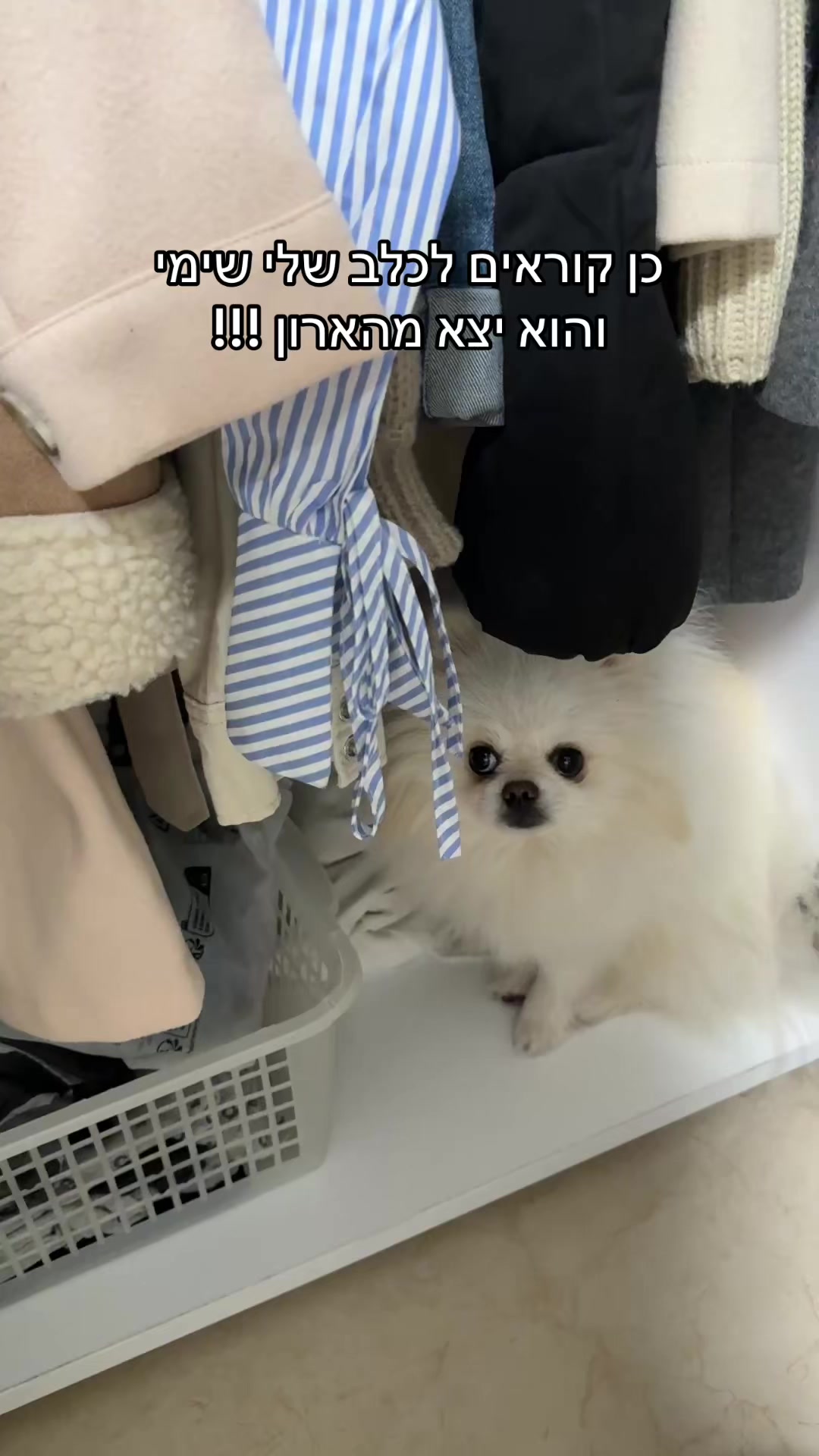 @𝐎𝐫 𝐇𝐚𝐠𝐚𝐲