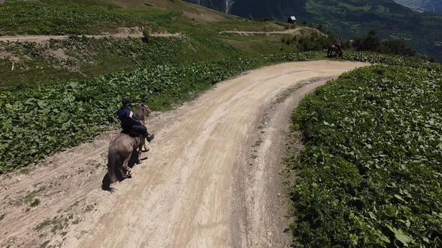 @დავით