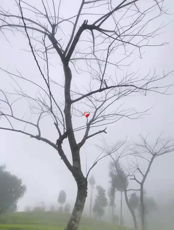 @๐จโ๐ญโ๐ฎโ๐ฒโ๐ธโ๐ชโ๐พ