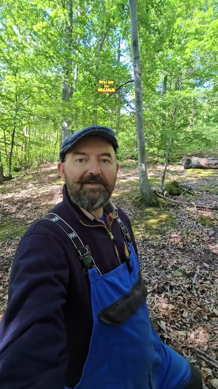 @čiča Zlaja