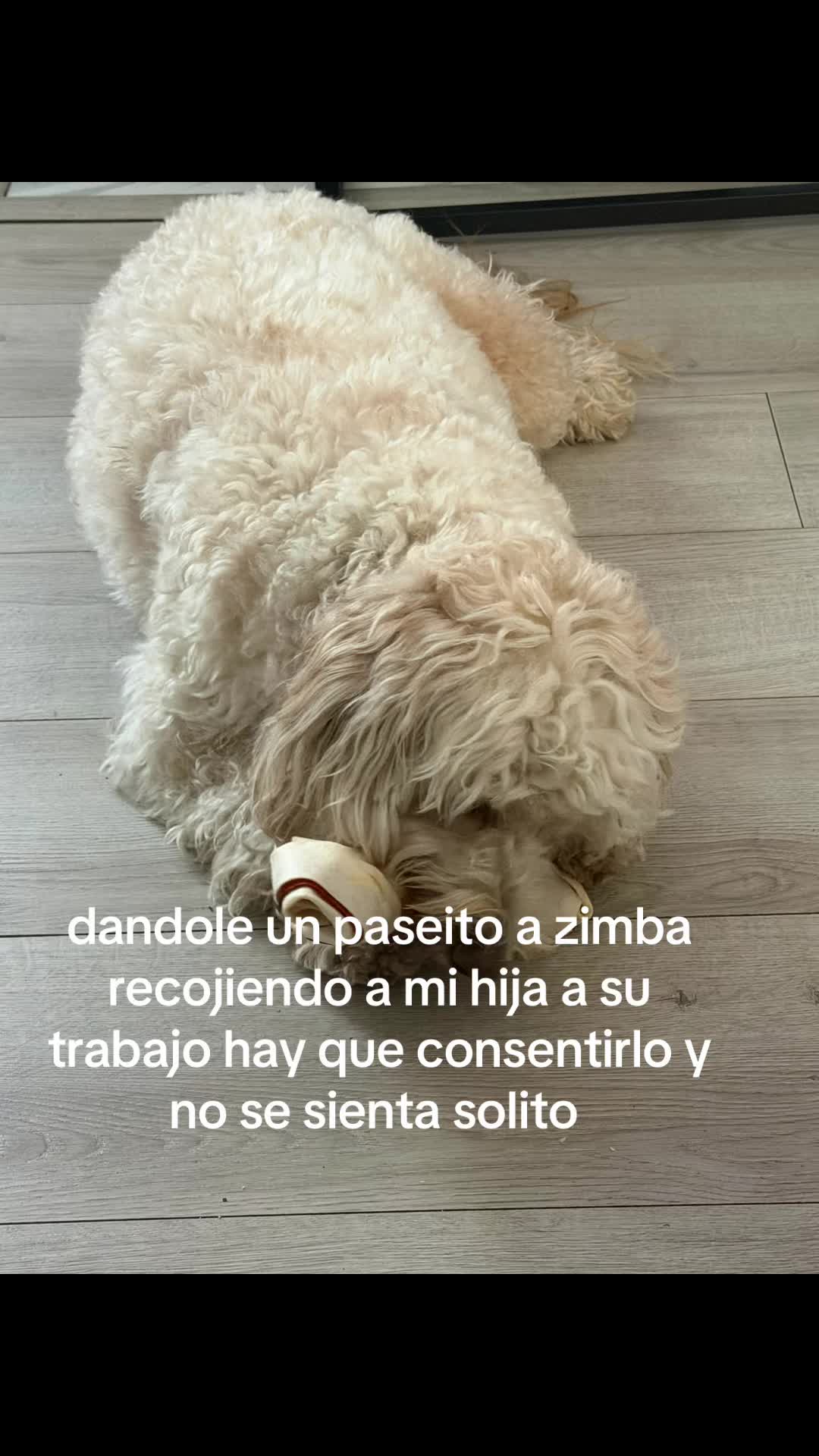 @Margarita Valdez