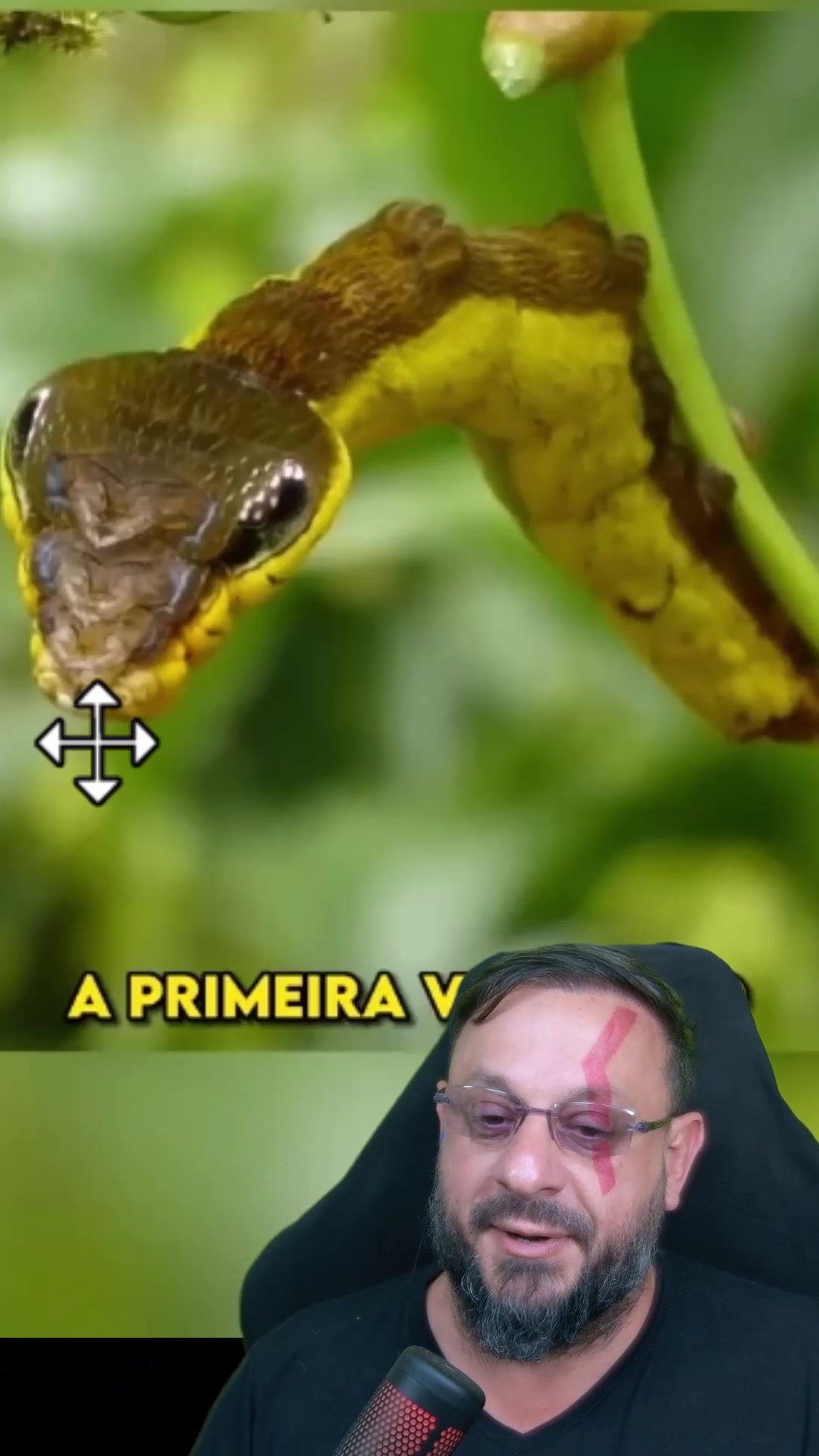 @Biólogo Henrique