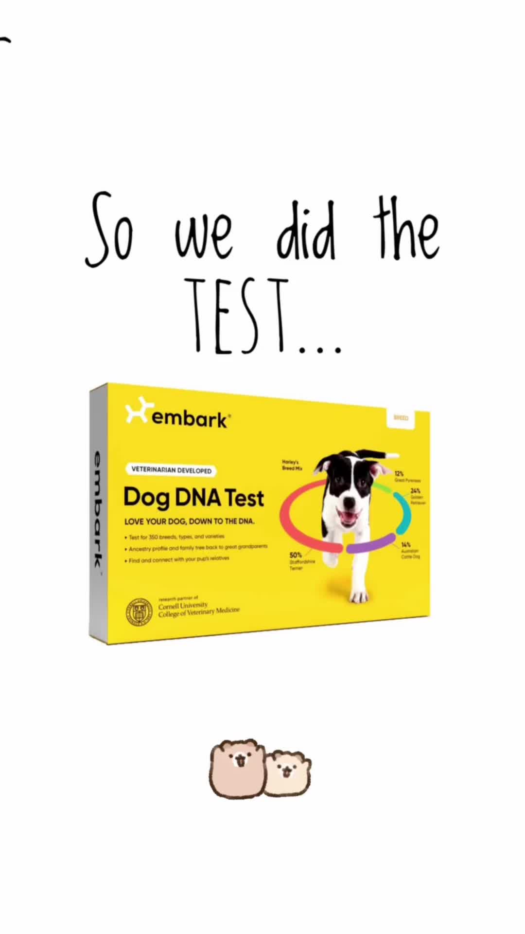 @Embark Vet
