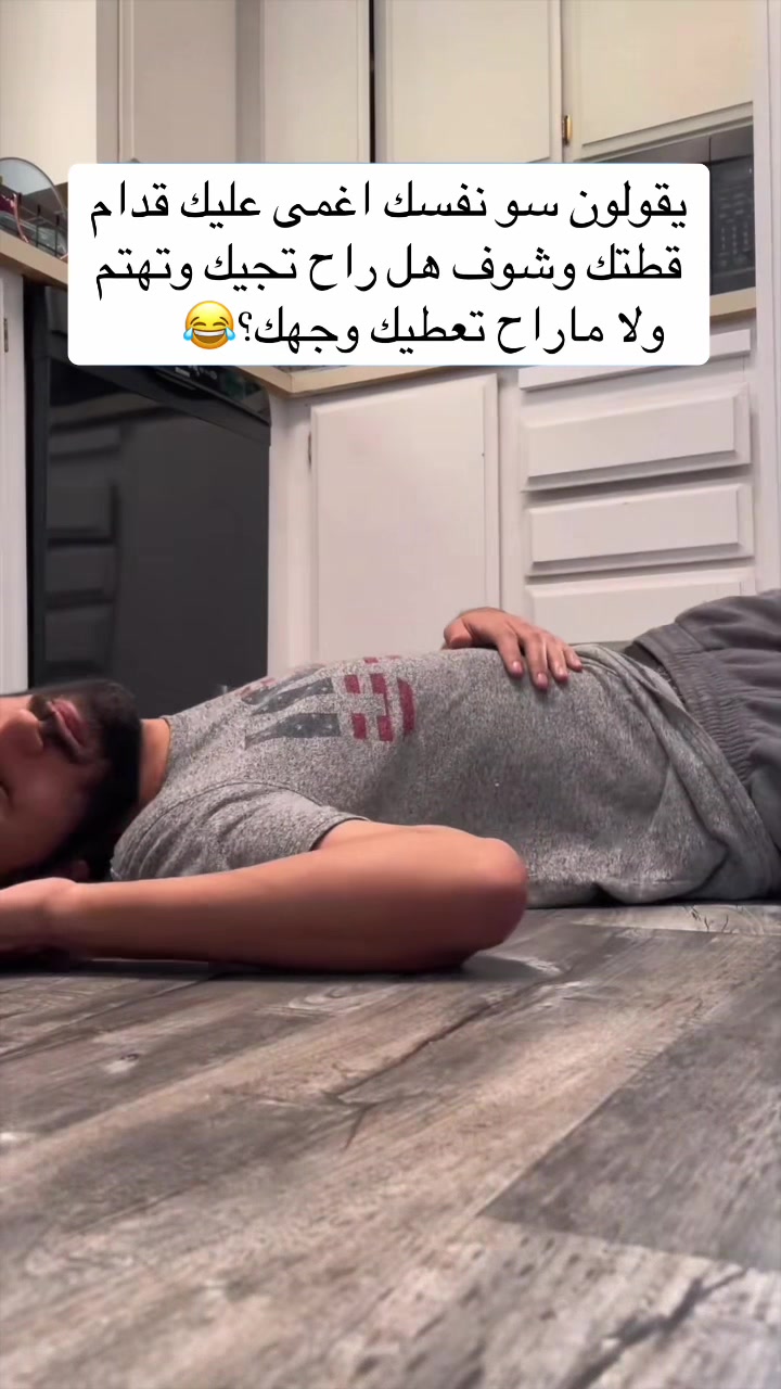 @اقبال والقطط