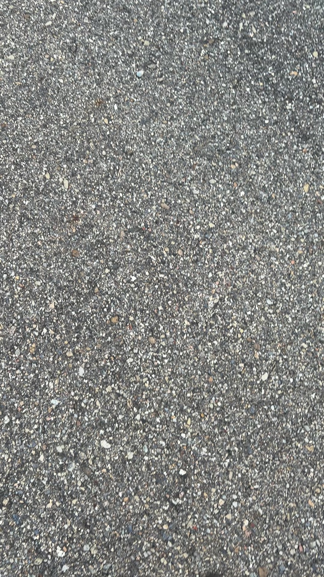 @阿仁就是阿仁