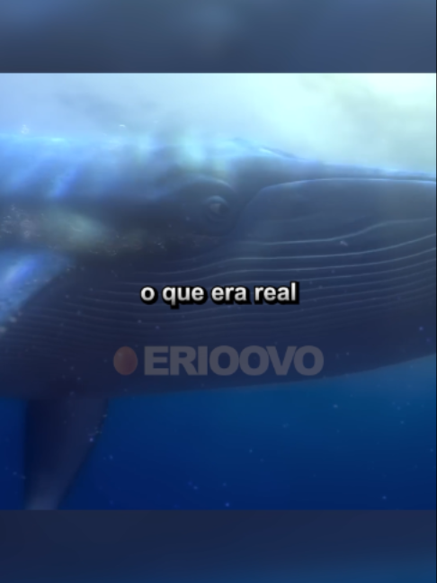 @EriOovo