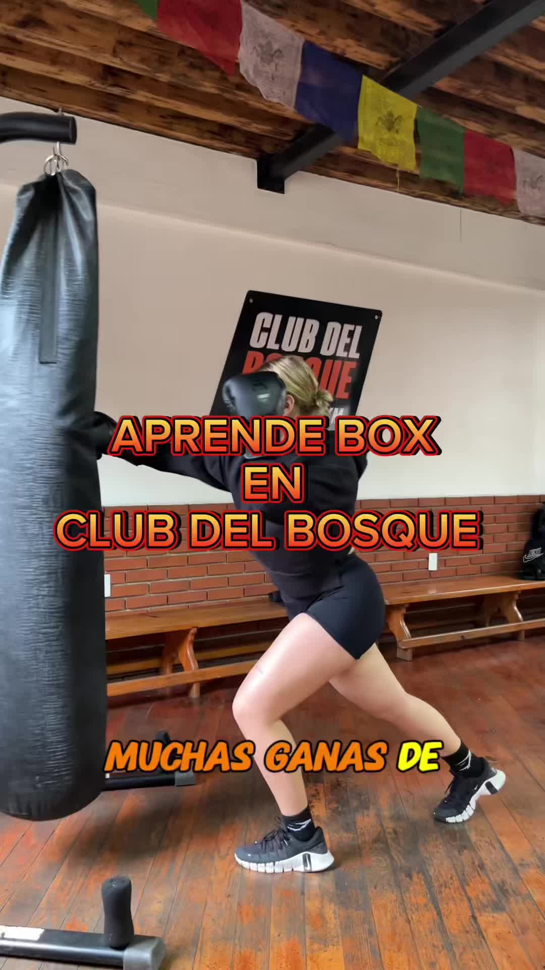 @club del bosque gym