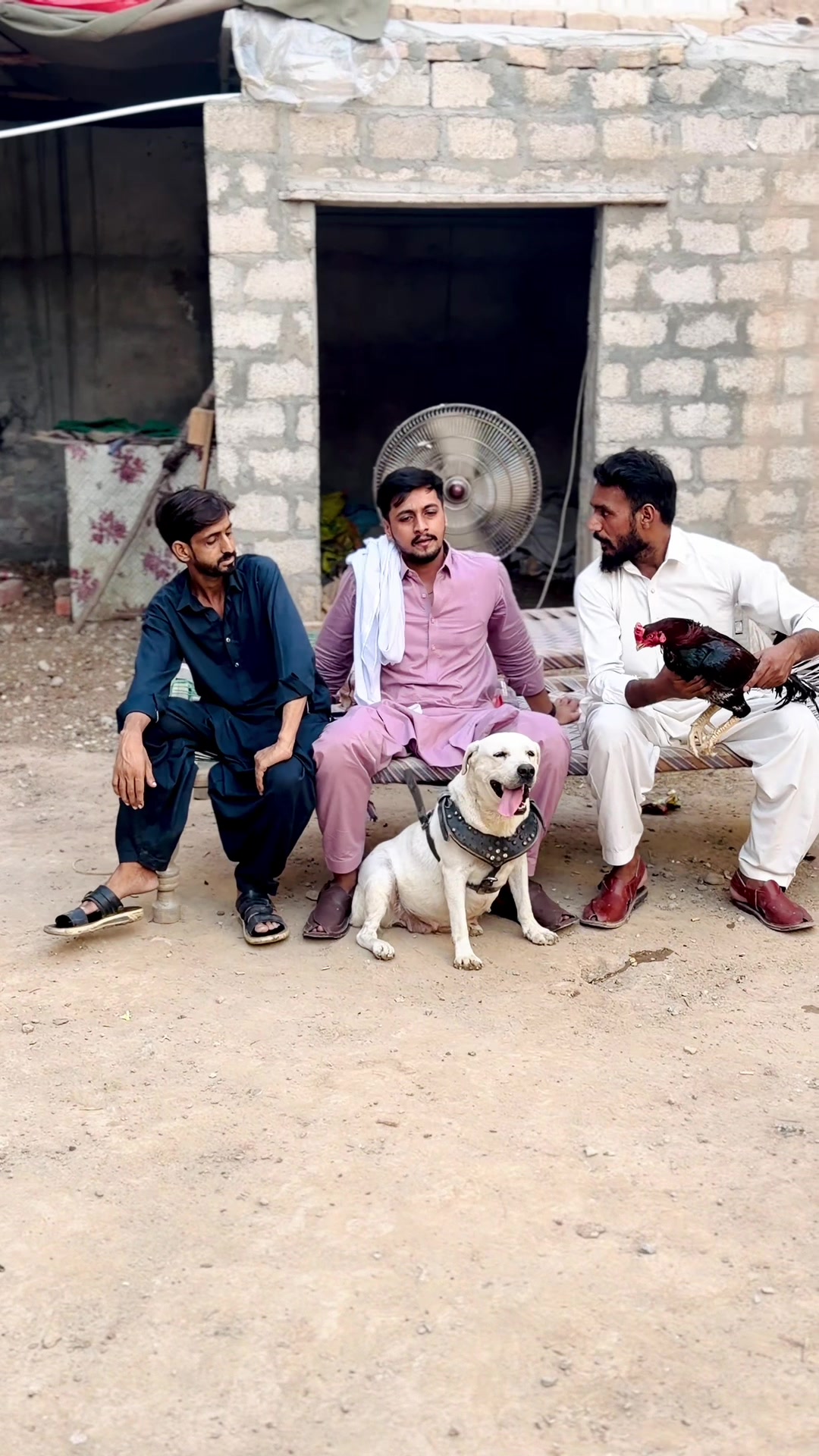 @Daniyal&ensp;kashif