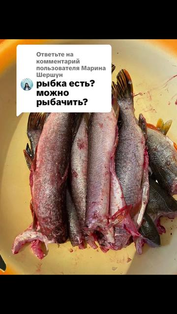 @Ольга