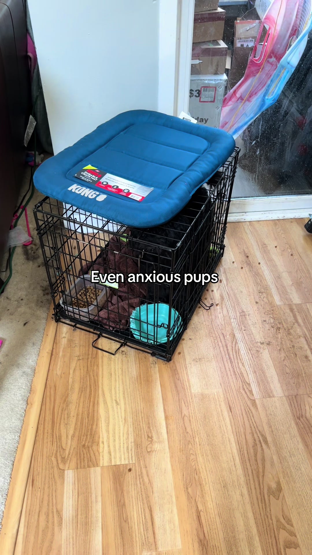 @myTinypurpose