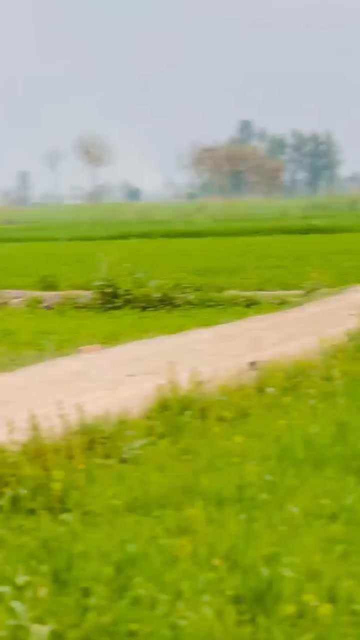 @Rai Waseem