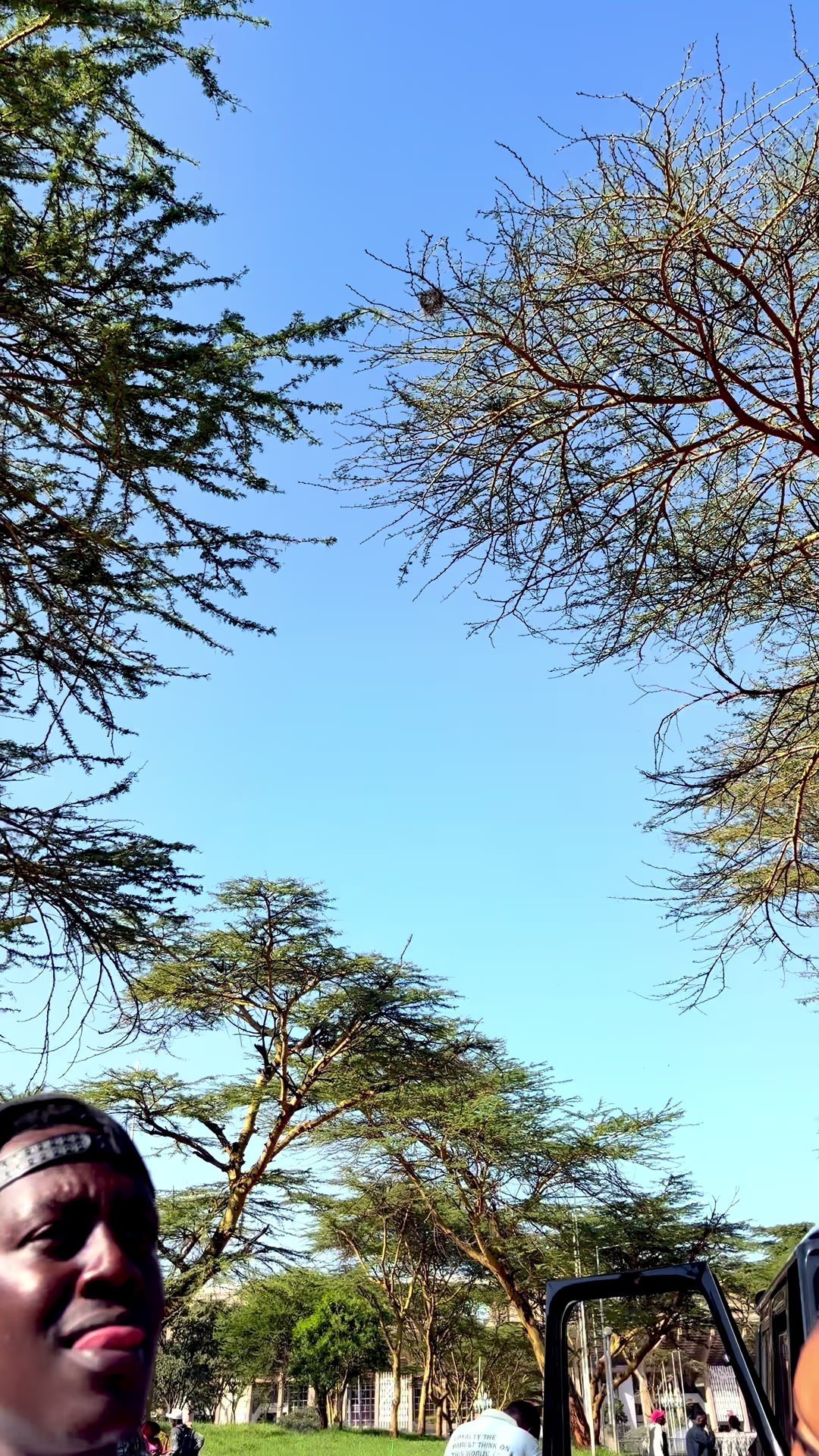 @The Turkana Boy Flying 🇰🇪