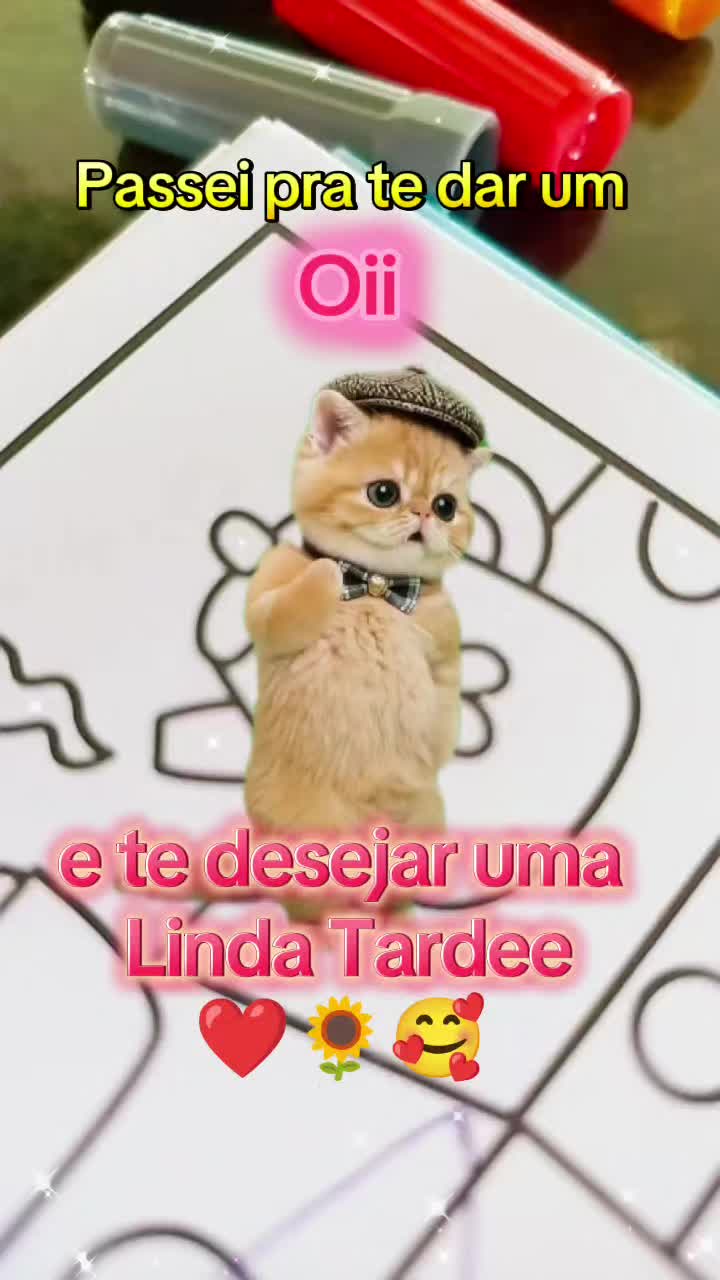@girassol🌻