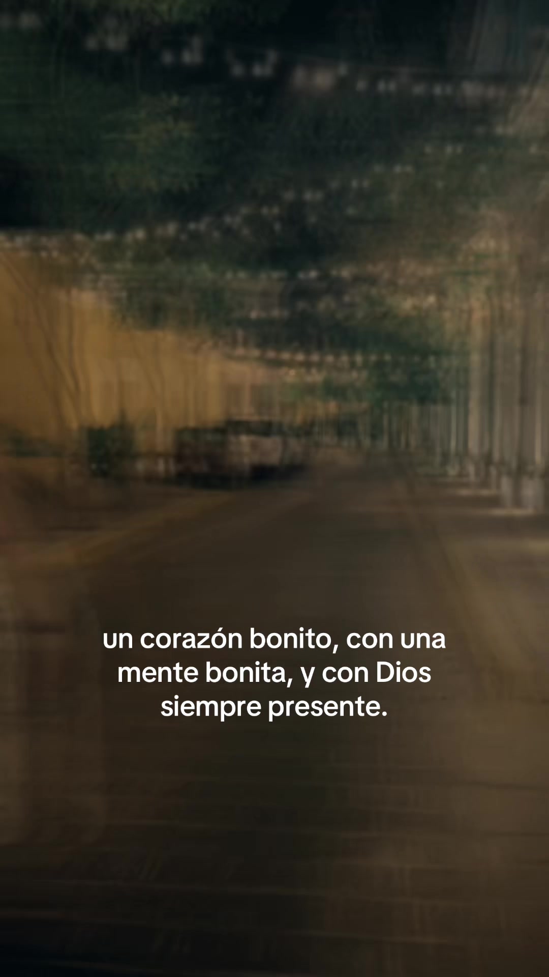 @Adriana Basboni