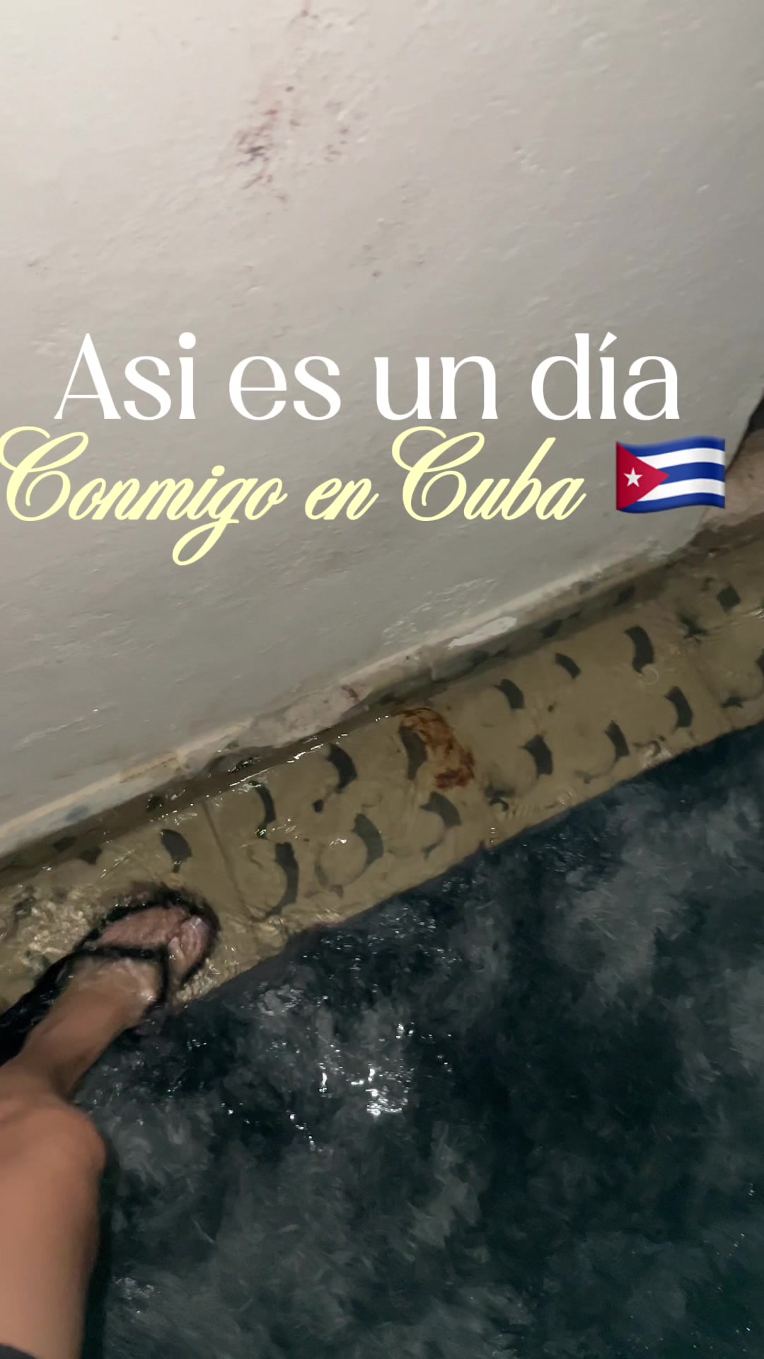 @Anita cubanita 🇨🇺🌻