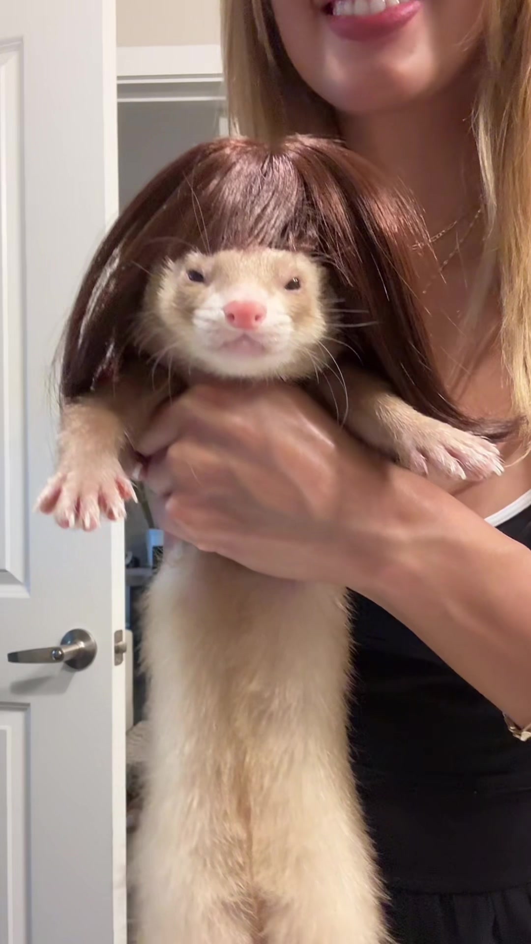 @Moon & Nala