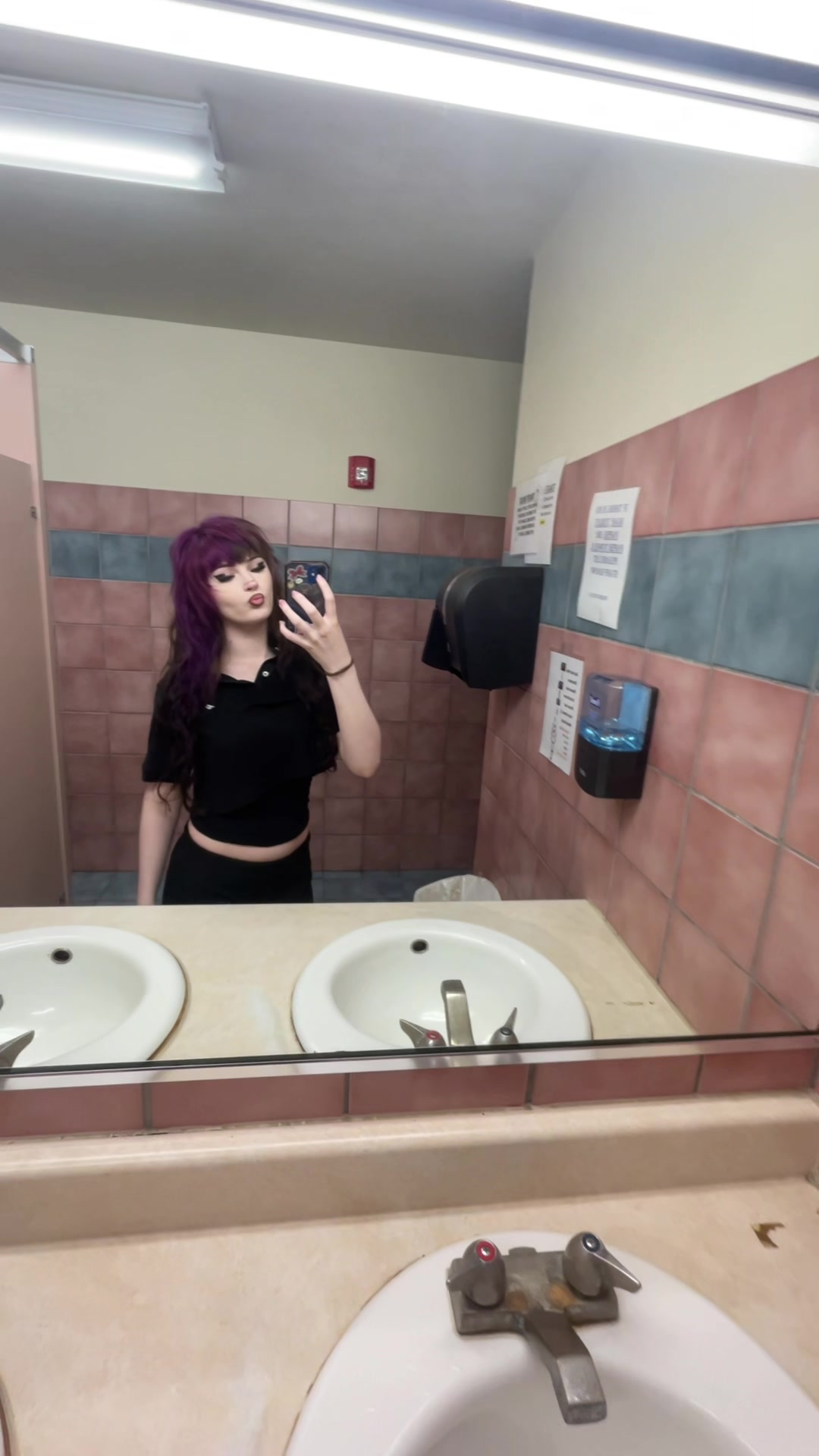 @/ᐠ - ˕ -マ Ⳋ