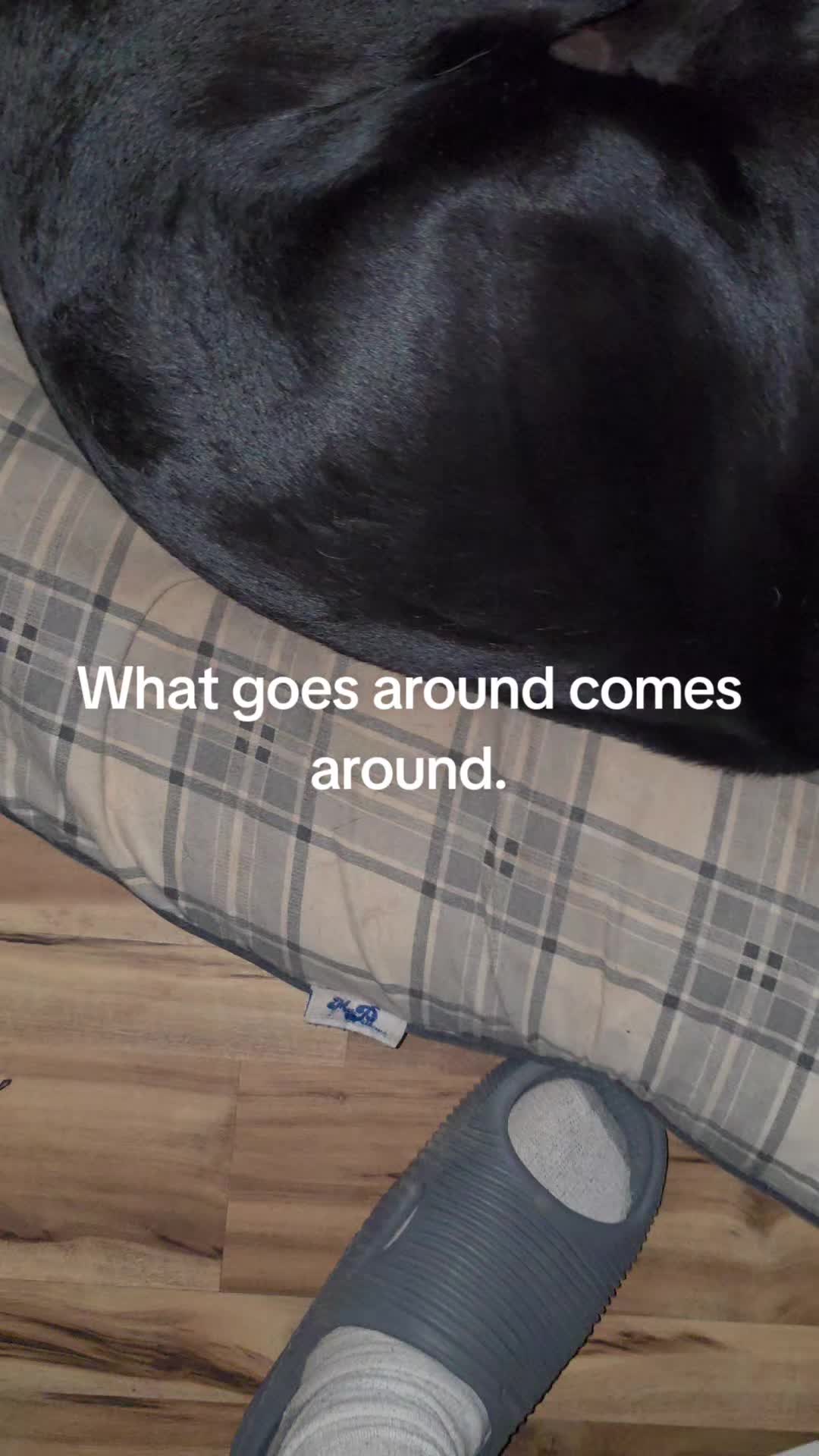 @Ezzz