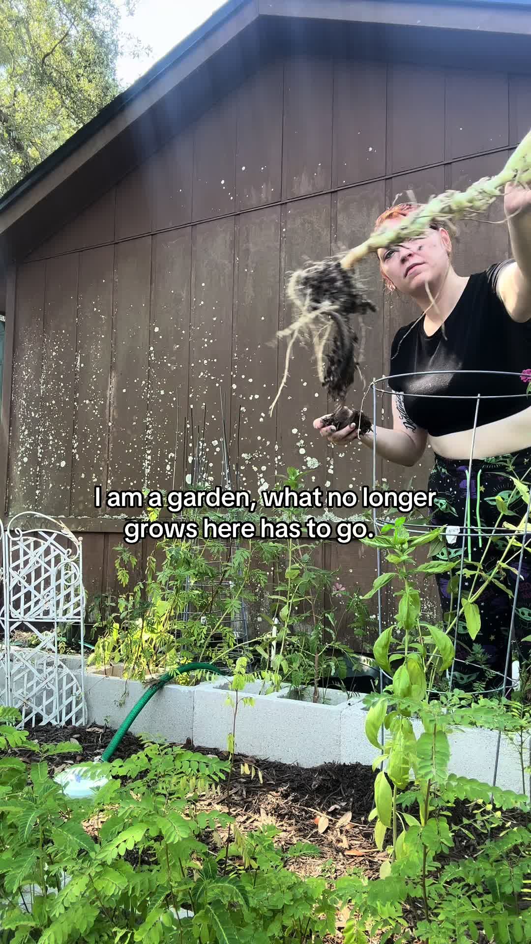 @Ace-feral millennial mom