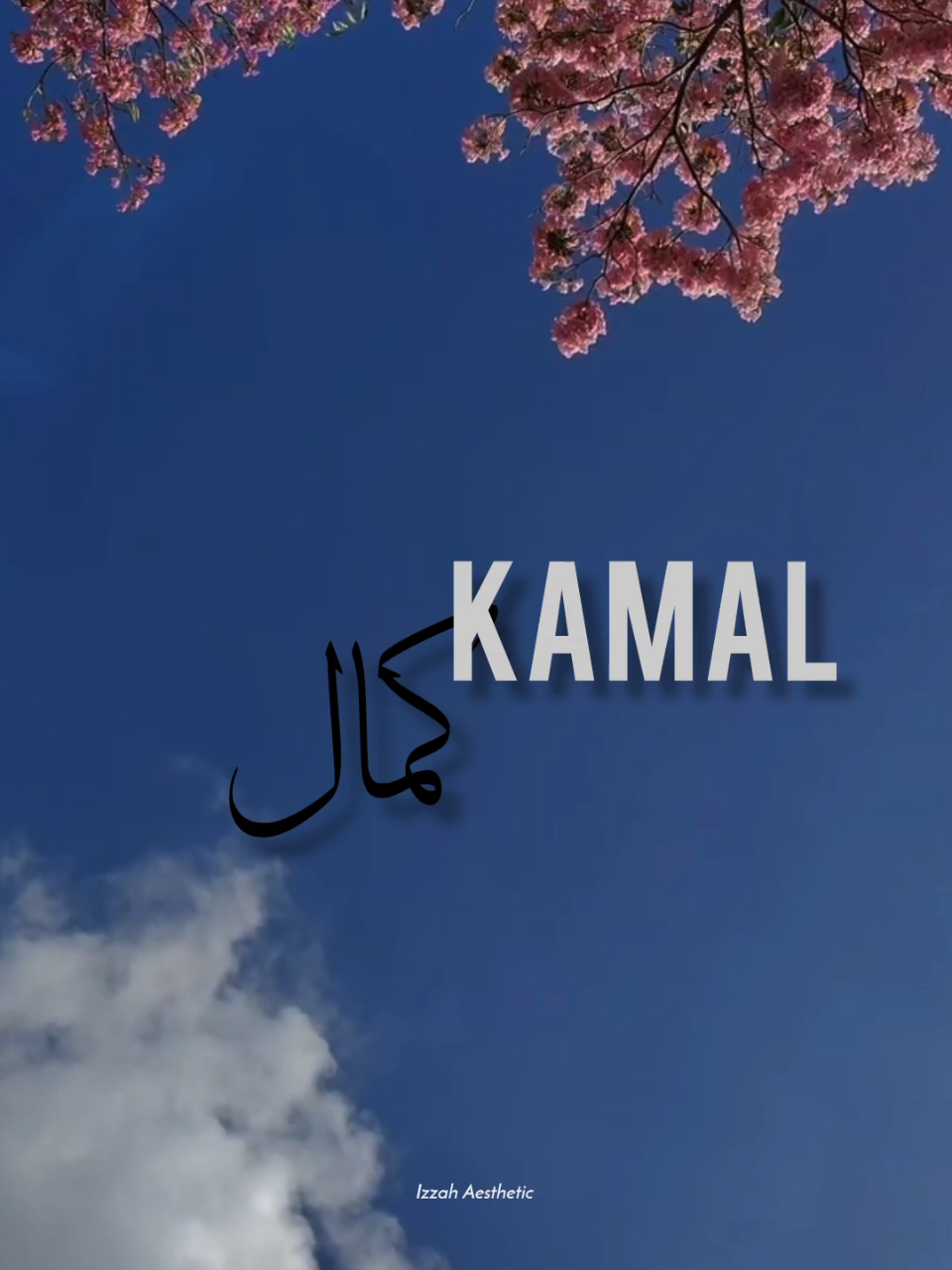 @𝙄 𝙕 𝙕 𝘼 𝙃 🕊️•