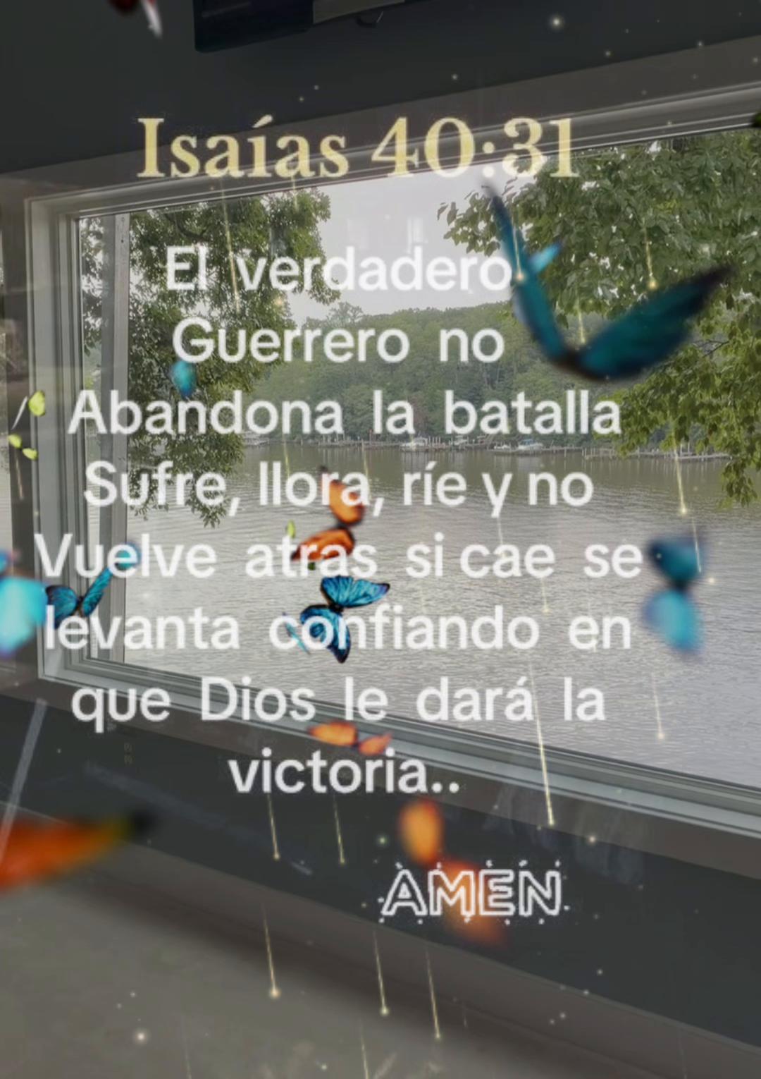 @Maynor Vicente