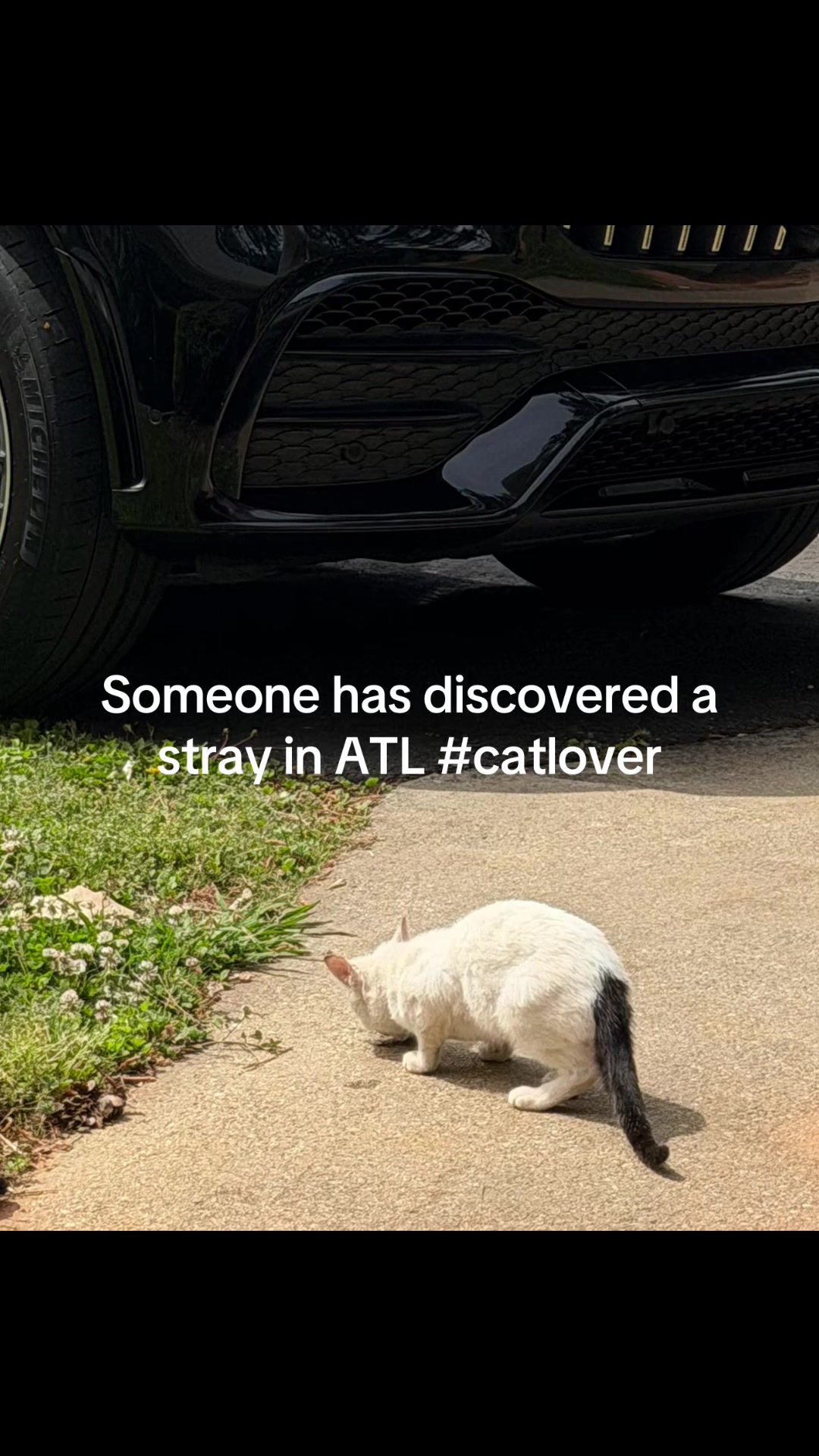 @THATadvocateANDrealtor
