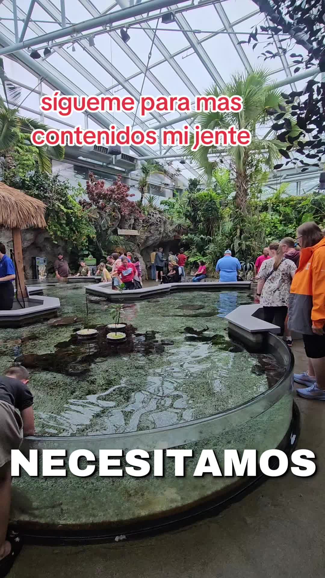 @luisjuarez691
