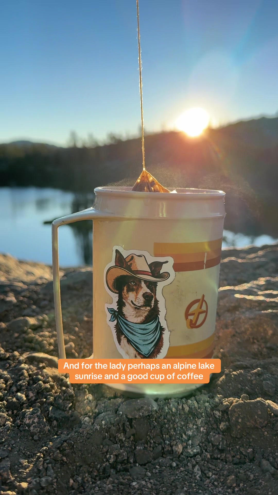 @slowdayzwithdogs