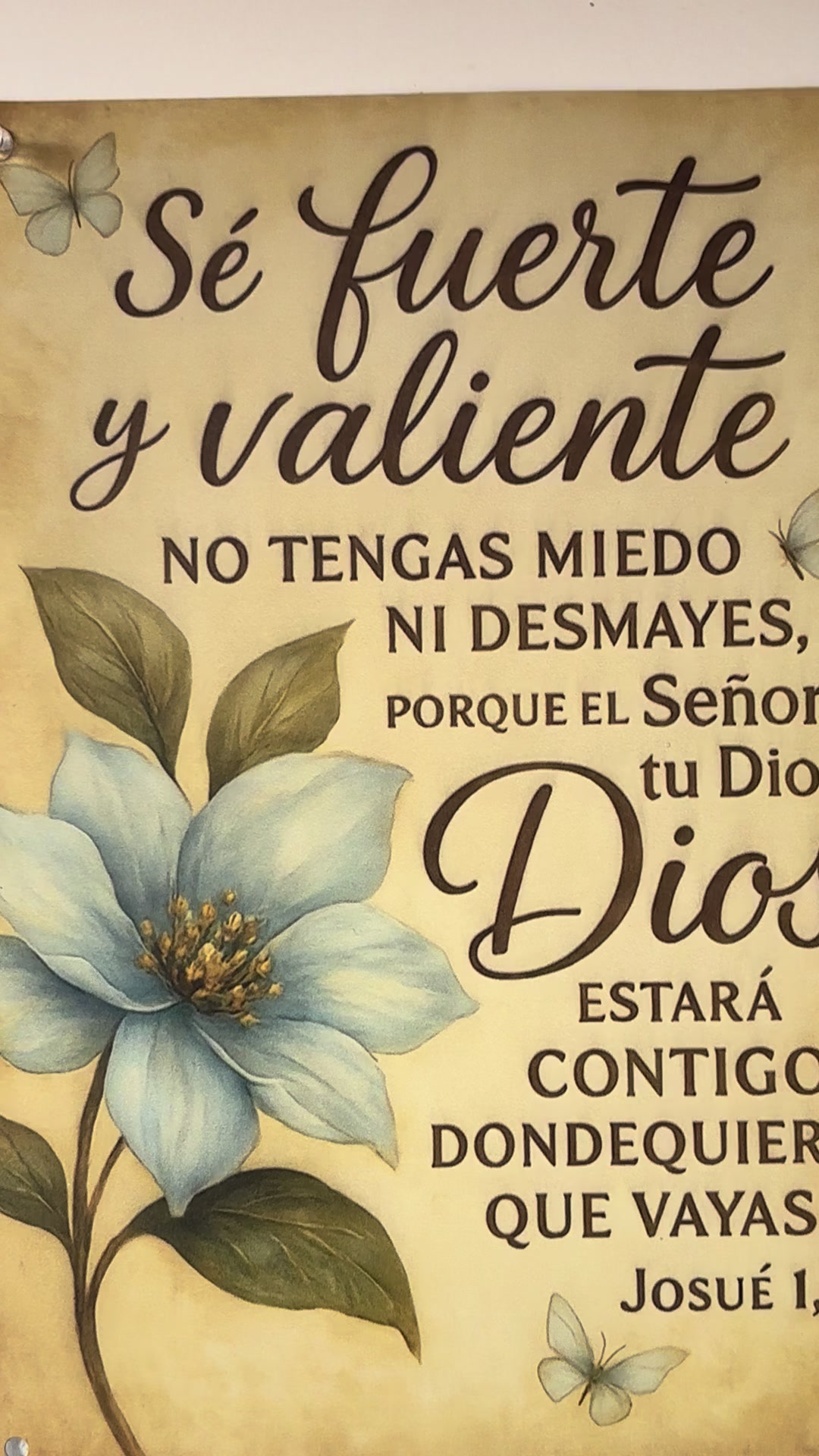 @🌸 Chuy🌸