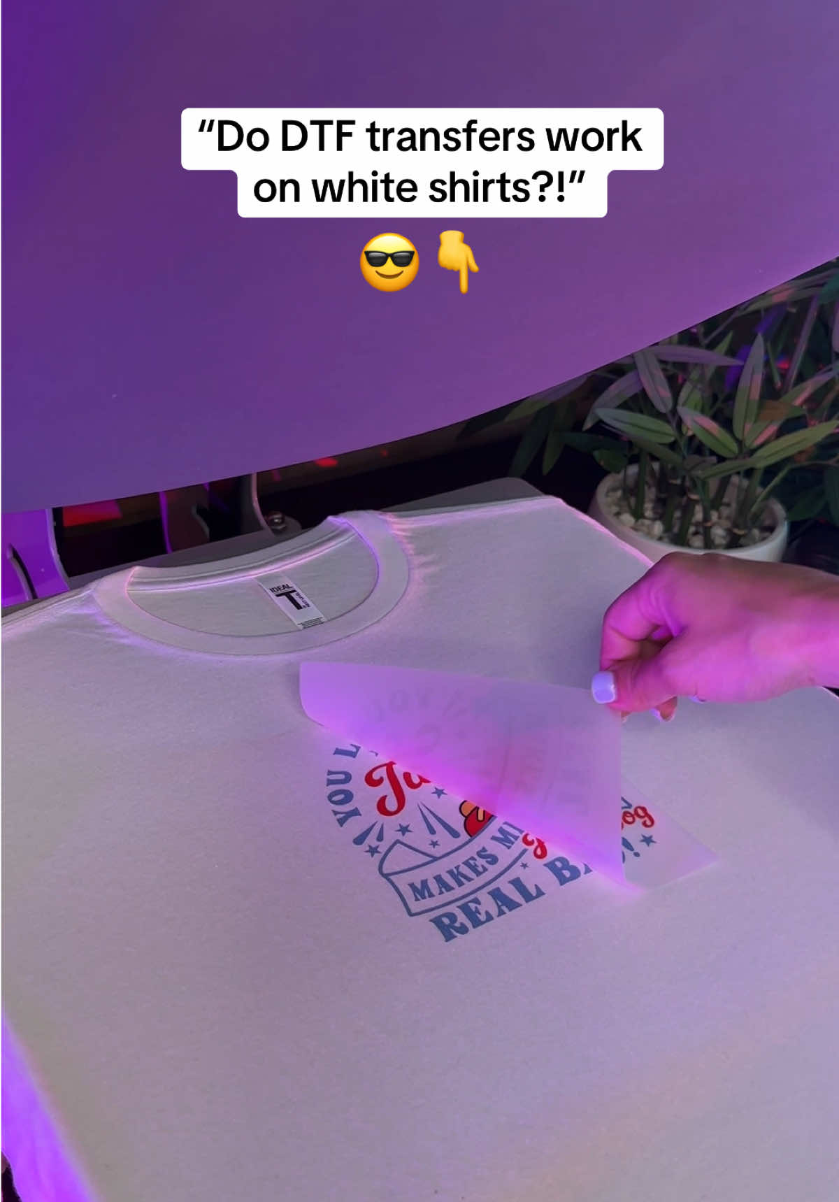 @Ninja Transfers