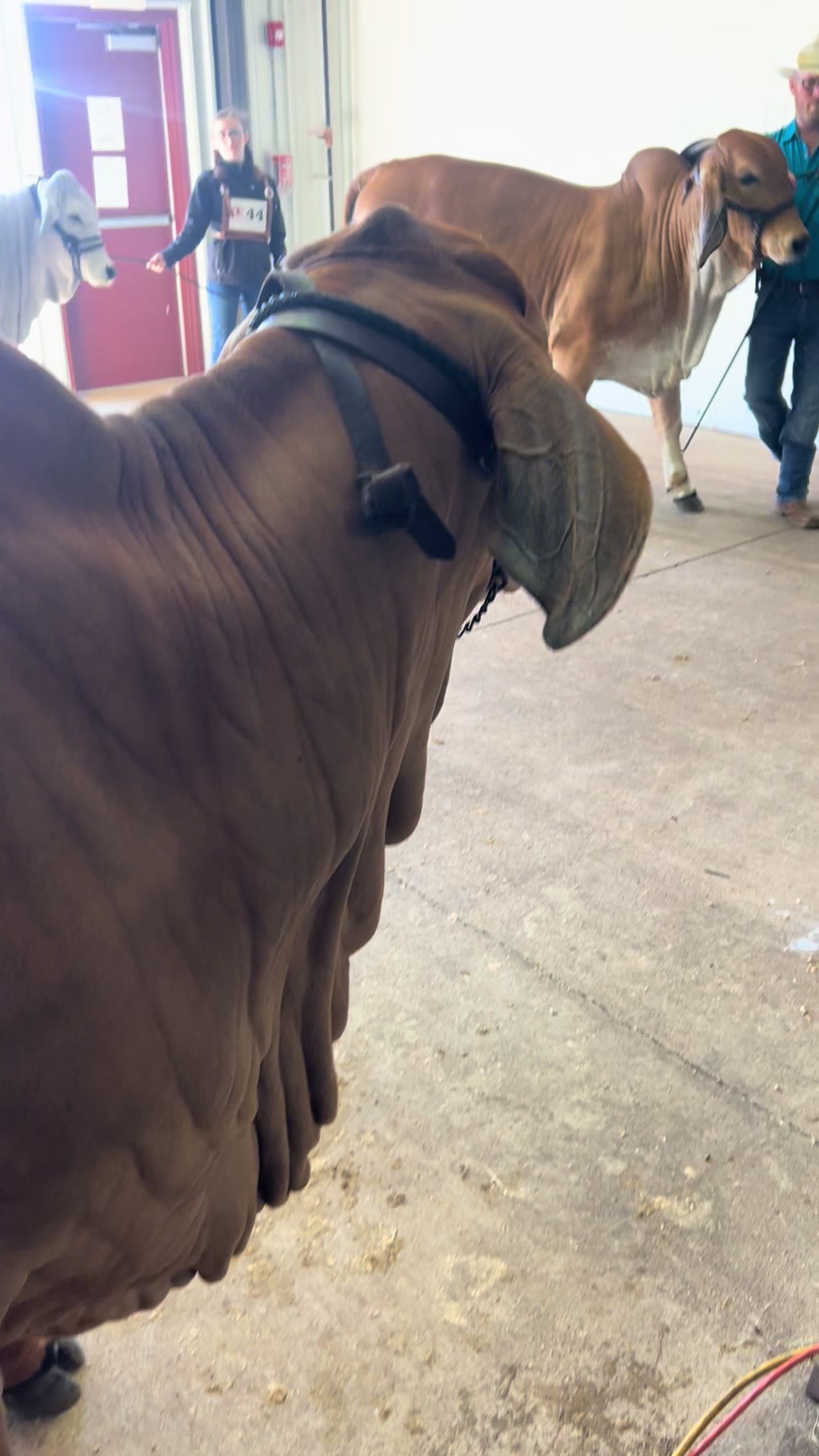 @The V6 Ranch