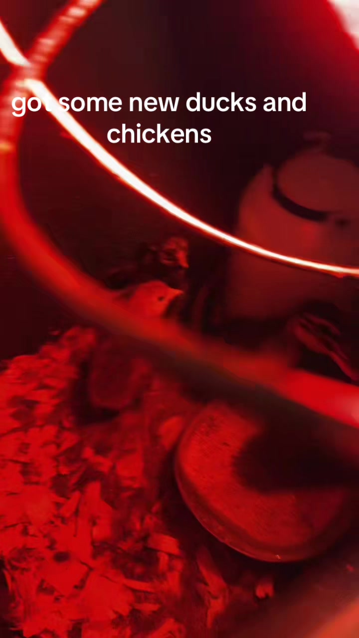 @armins_wife5