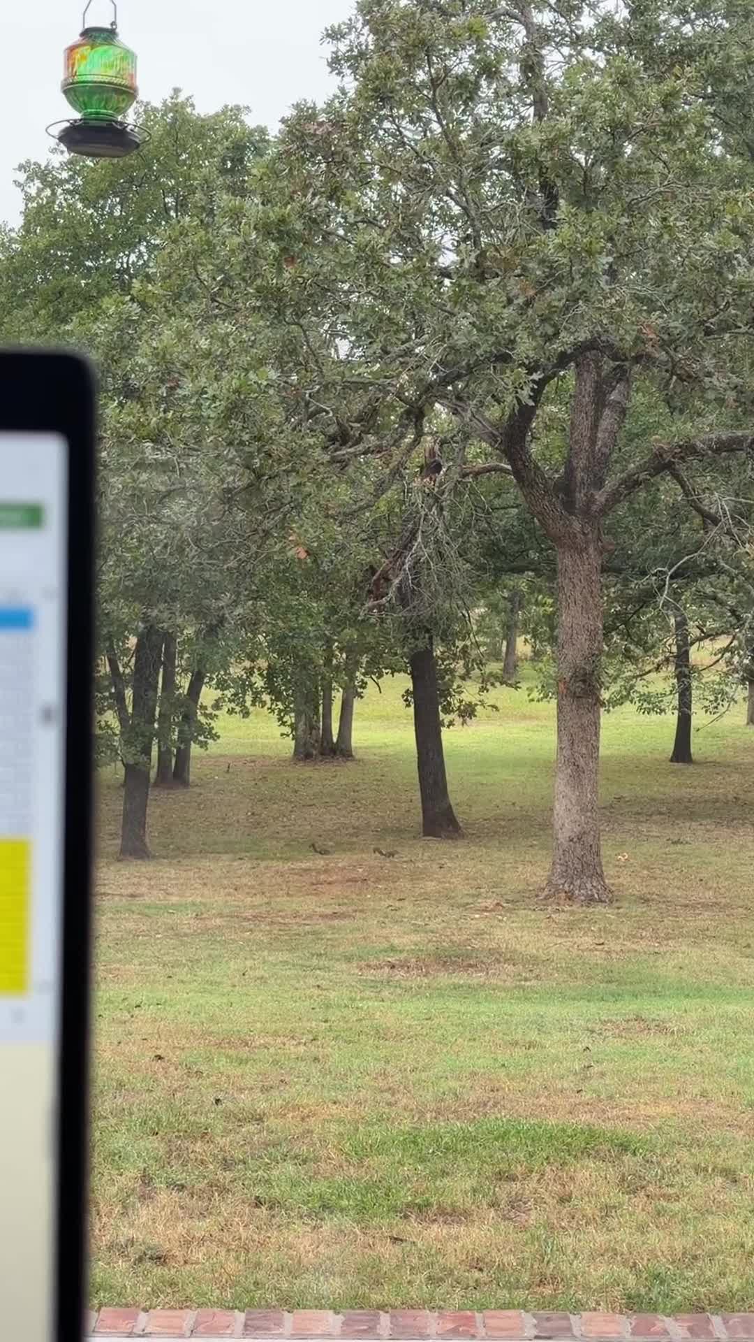 @Dogmansshadow