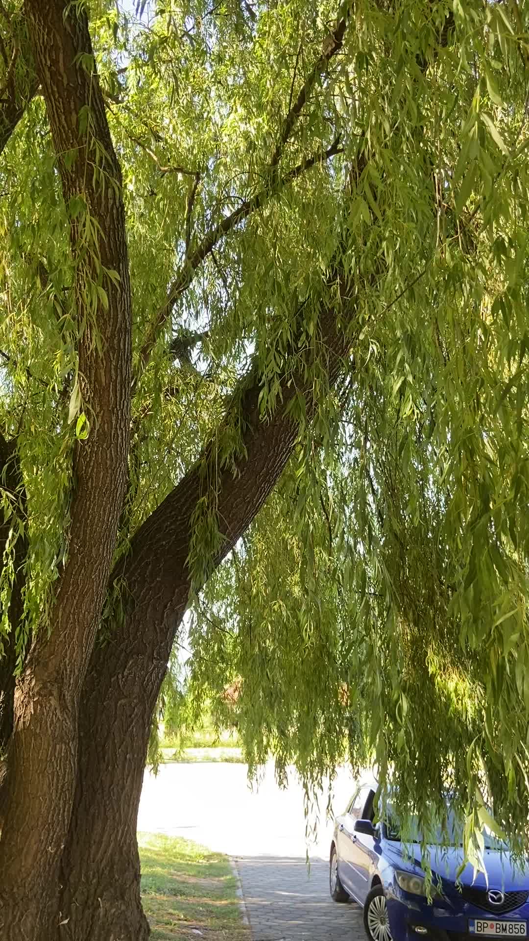 @_sulle_1