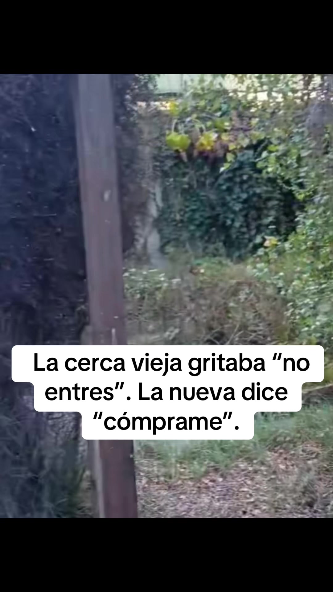 @Raul Luna