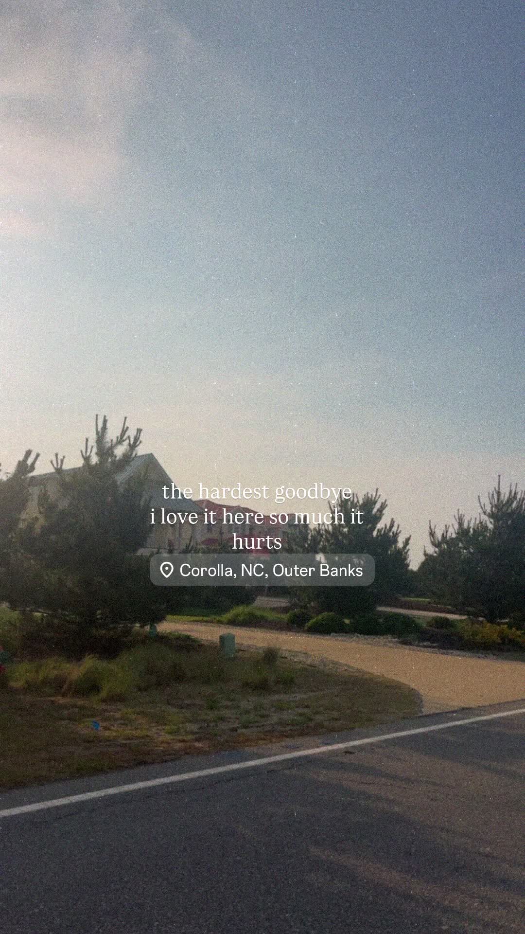 @mattie lynne ◡̎