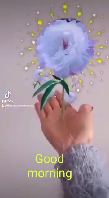 @harpal