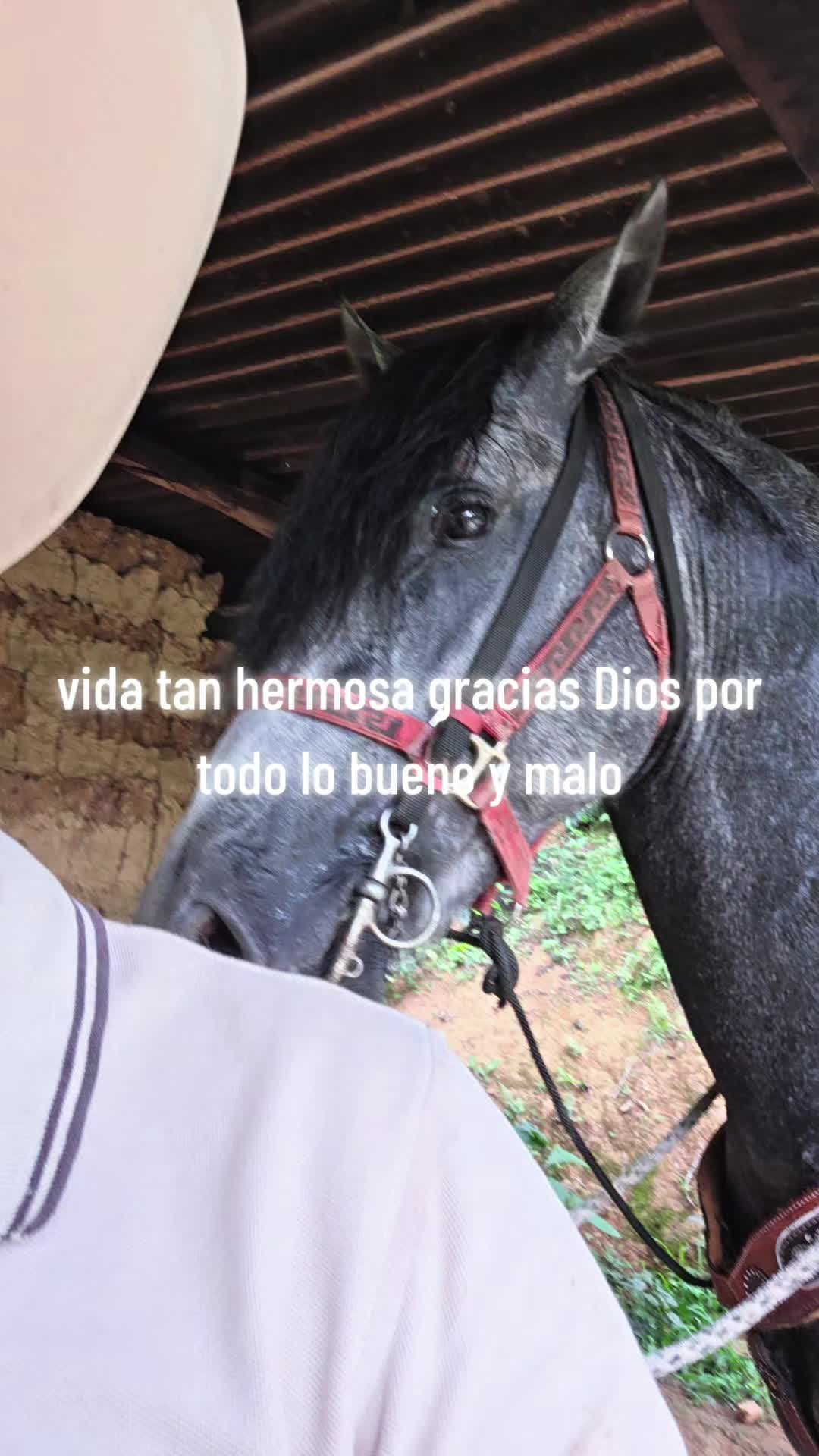 @lopez🧔🏻&zwj;♂️🖤