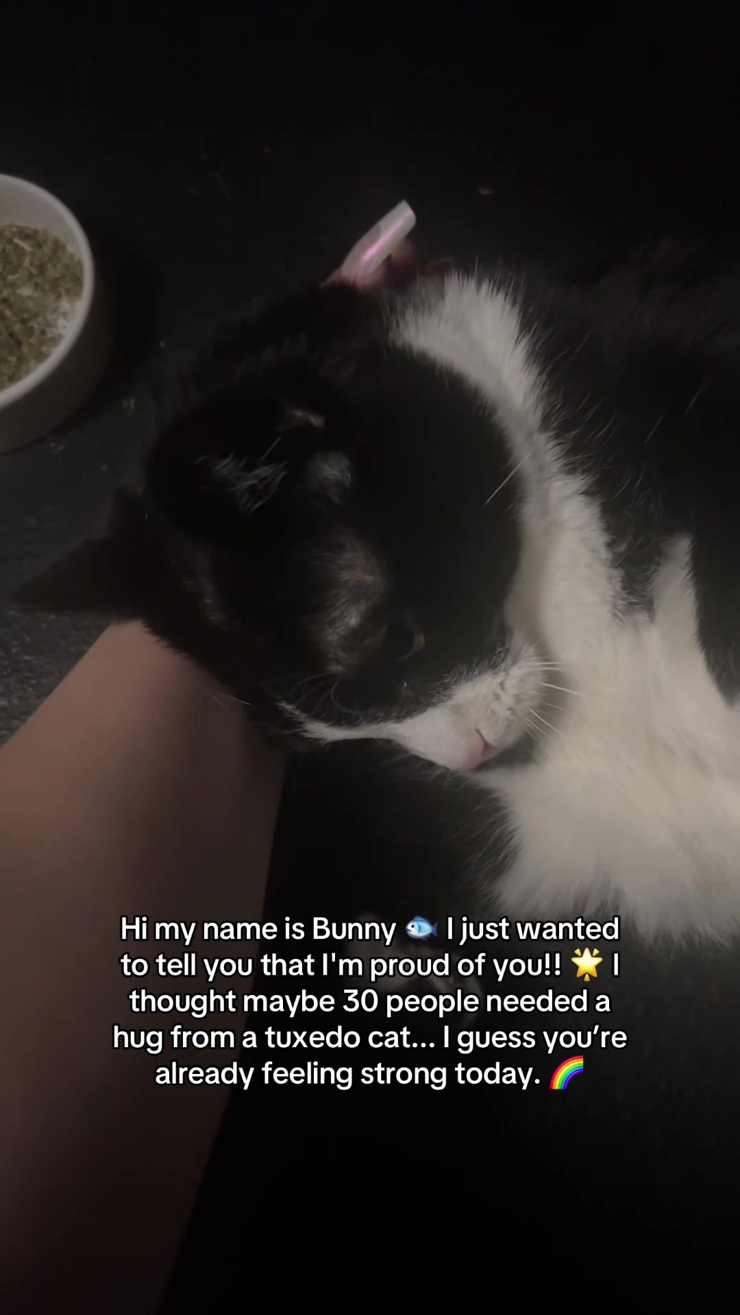 @Bunny