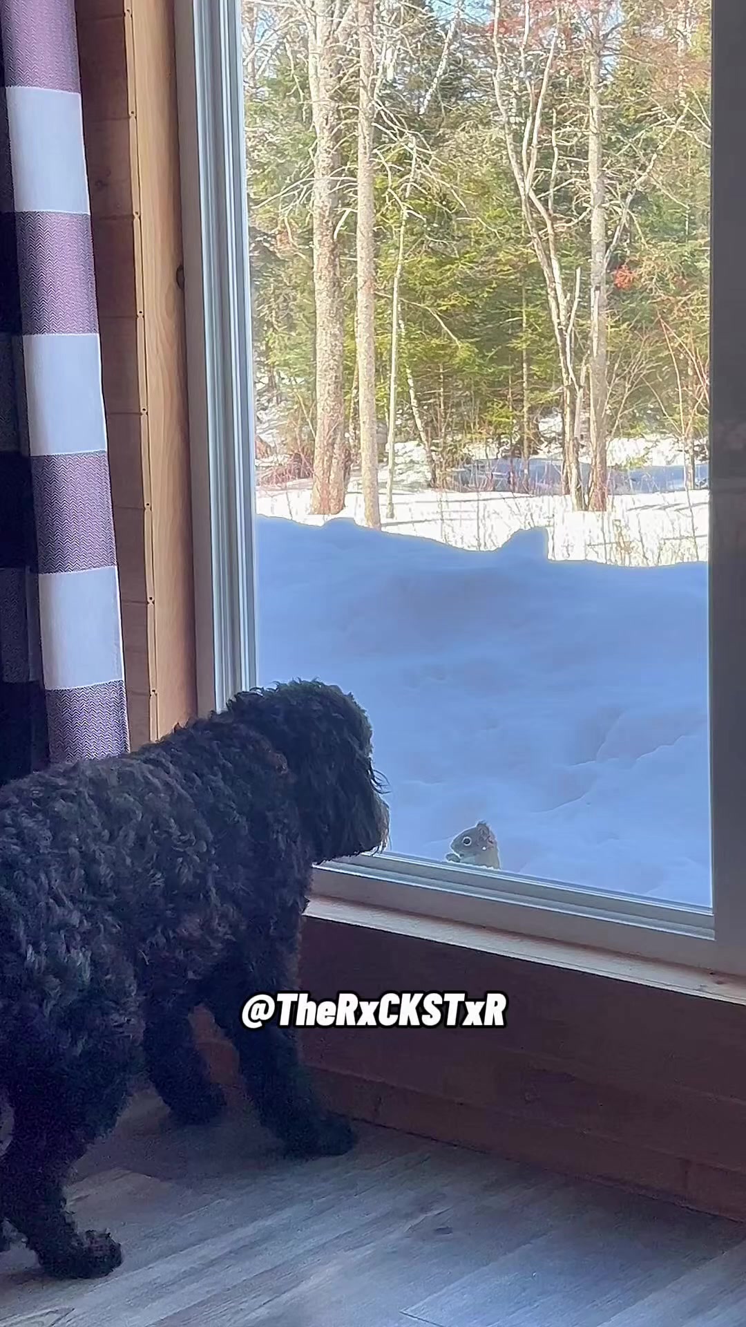 @RxCKSTxR