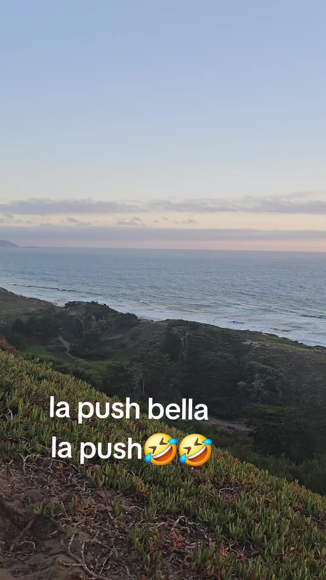 @chapincita502🥰