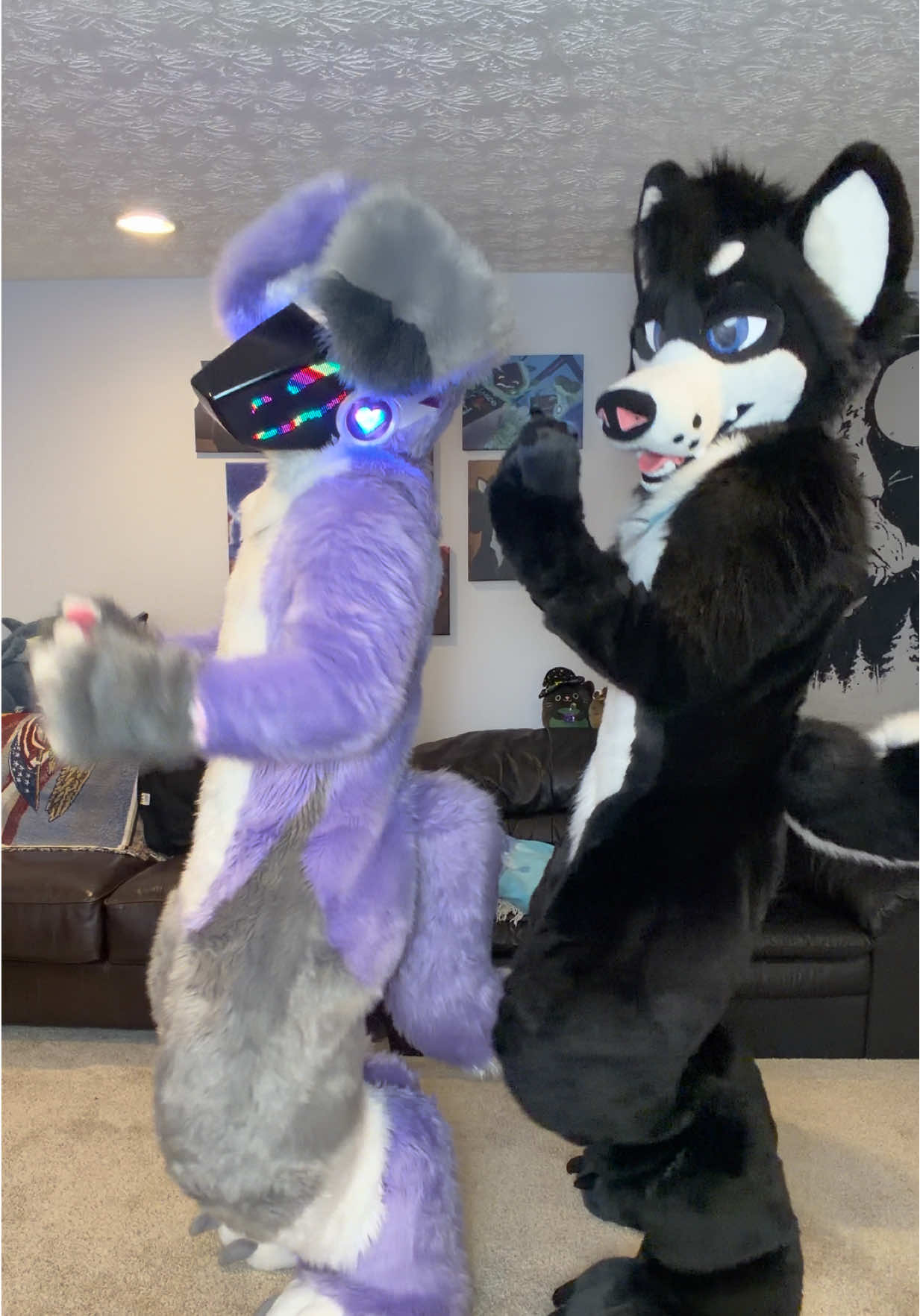 @SnowZard 🔜 FWA