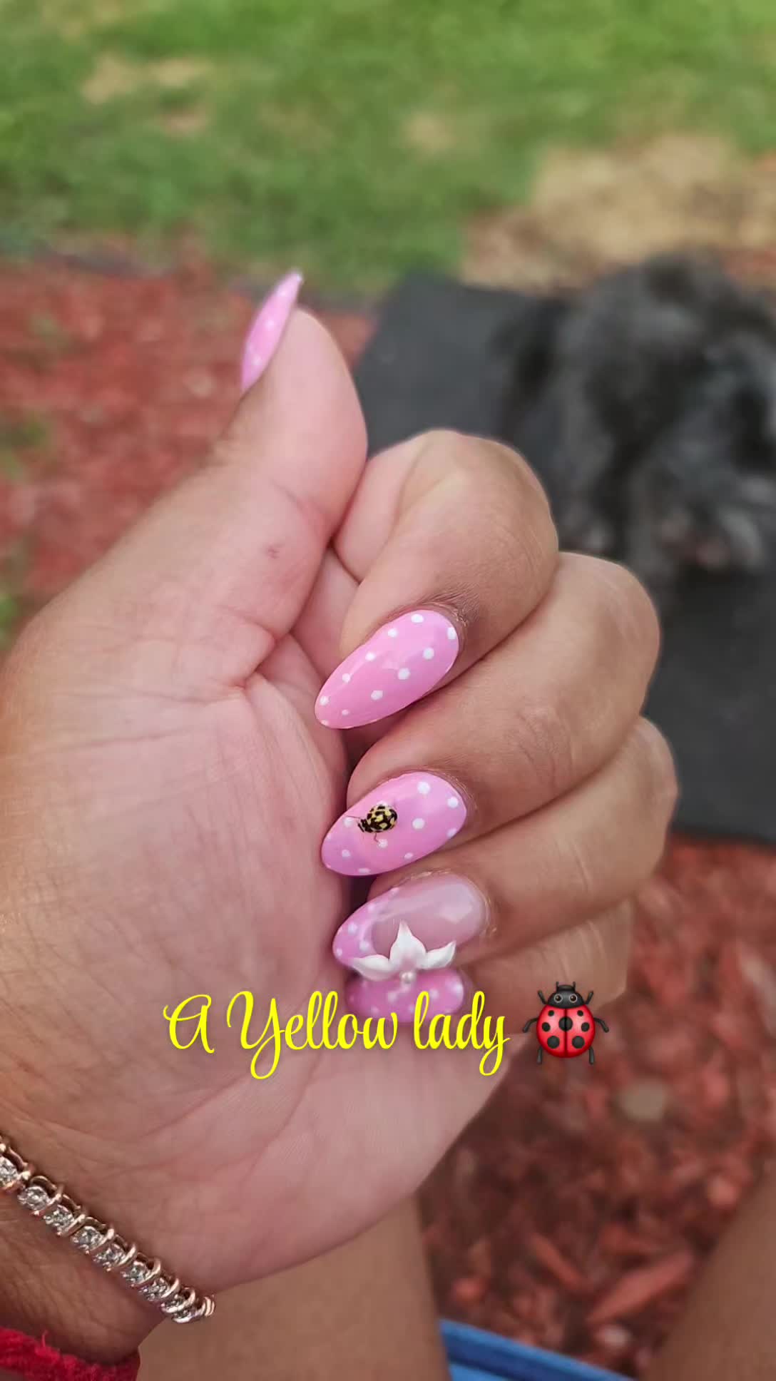 @ꪜꪖꪶꫀ𝘳𝓲ꫀ 🎀