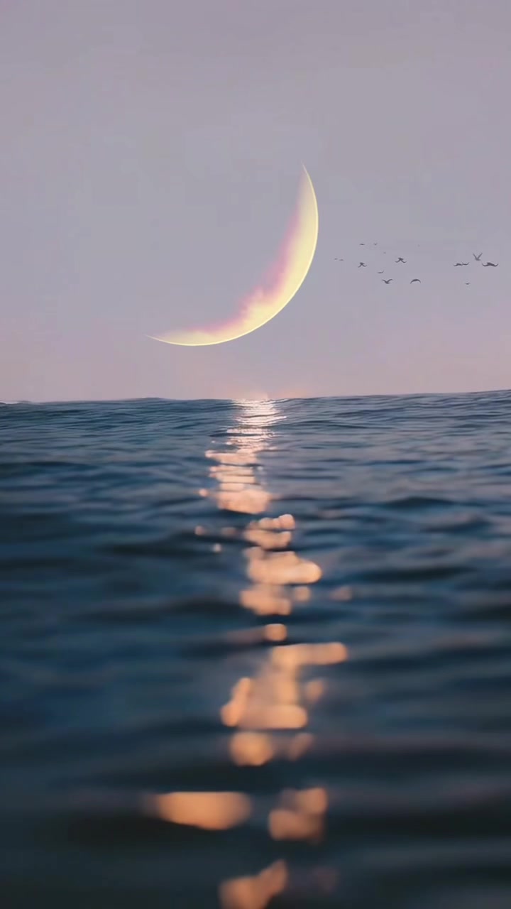 @User77